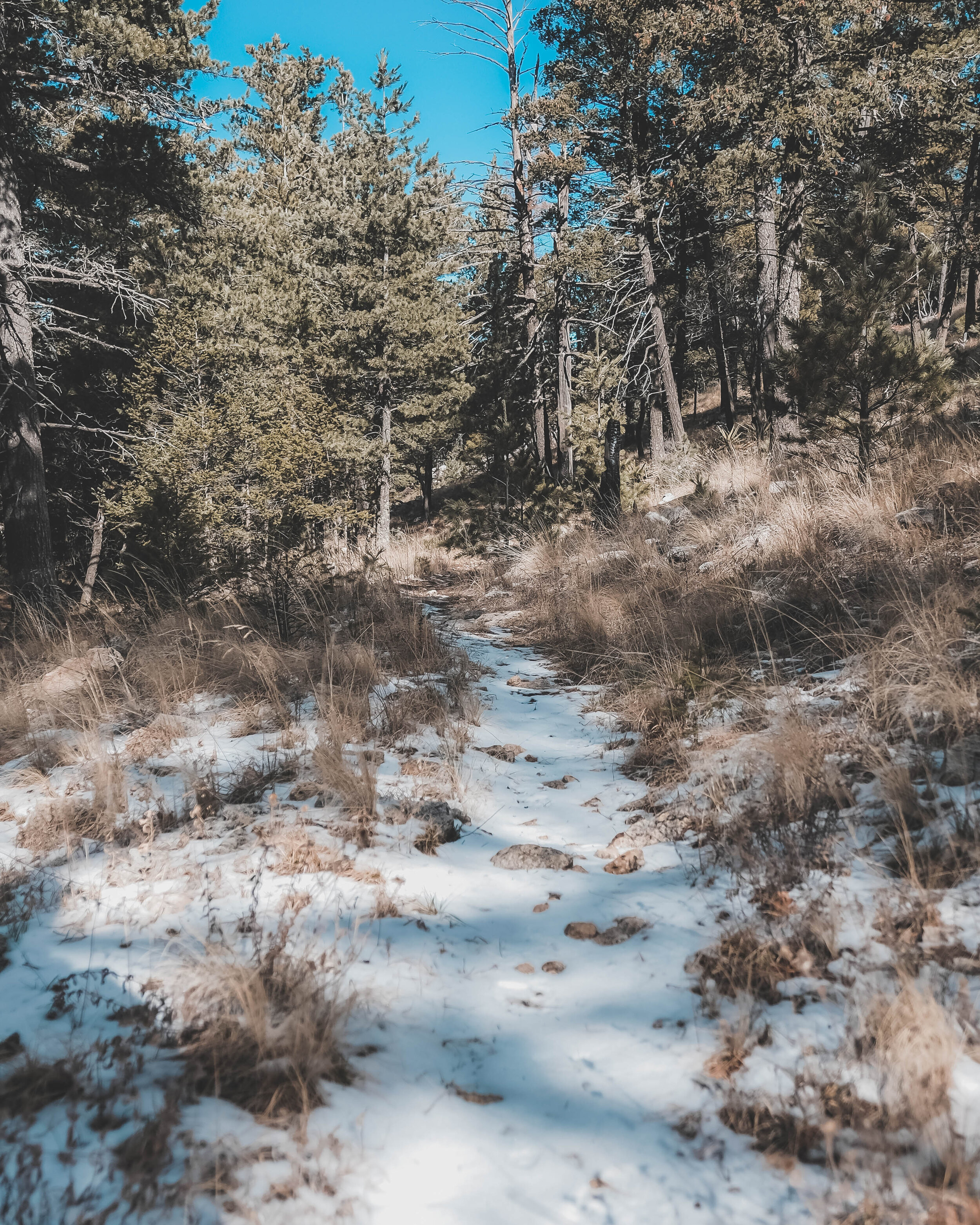 DSCF8301.jpg