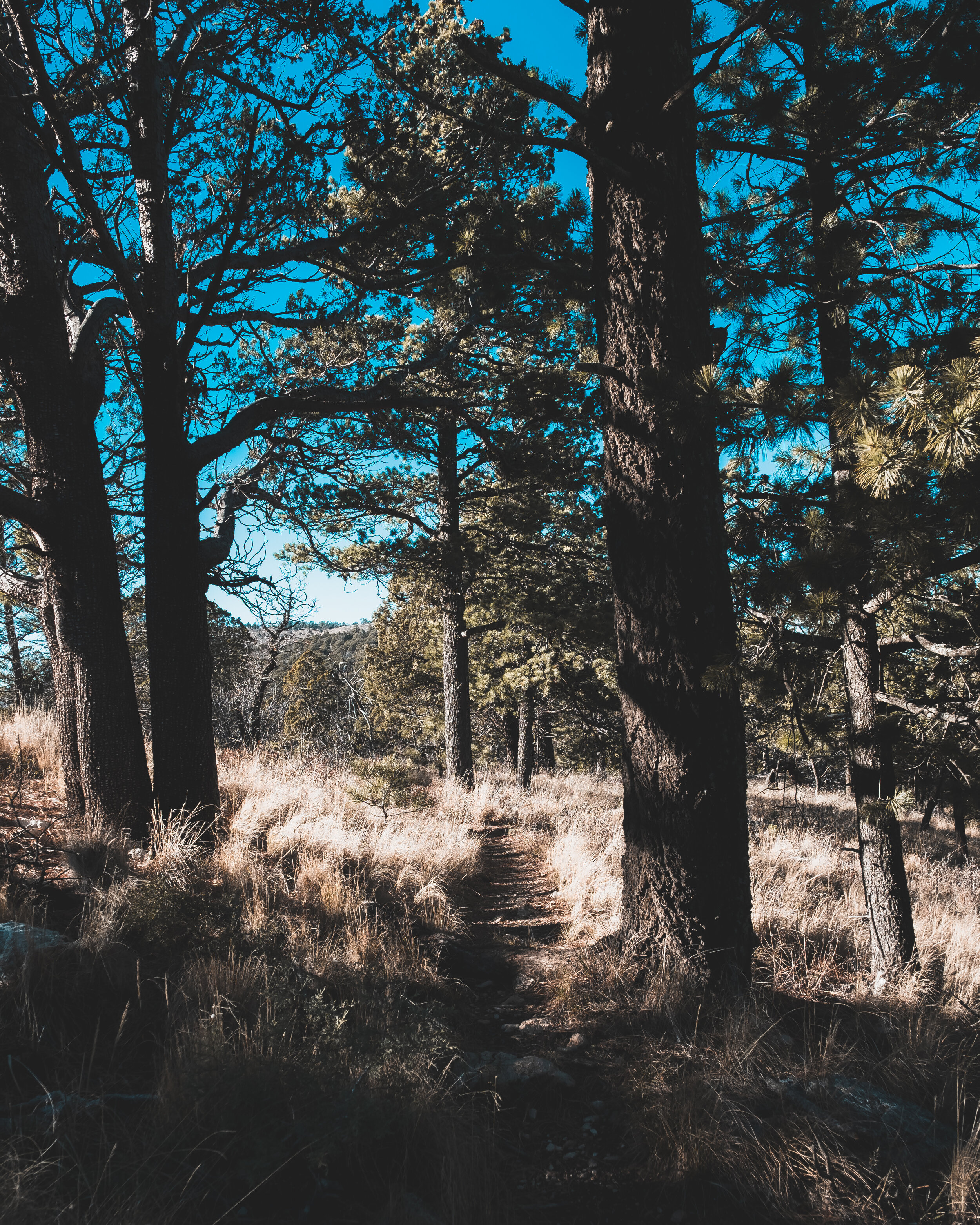 DSCF6876.jpg