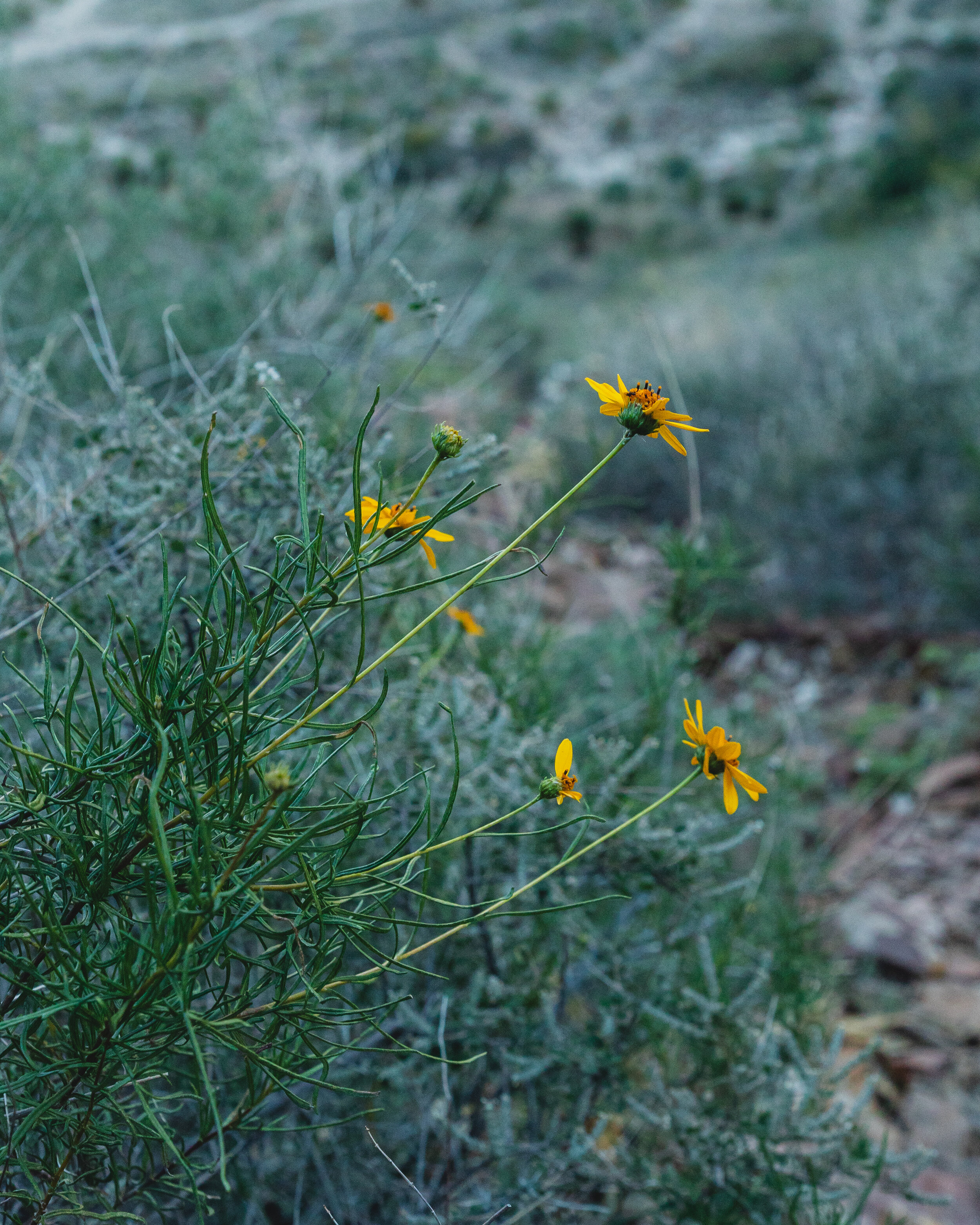 126A7292.jpg