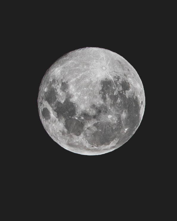 126A9306.jpg