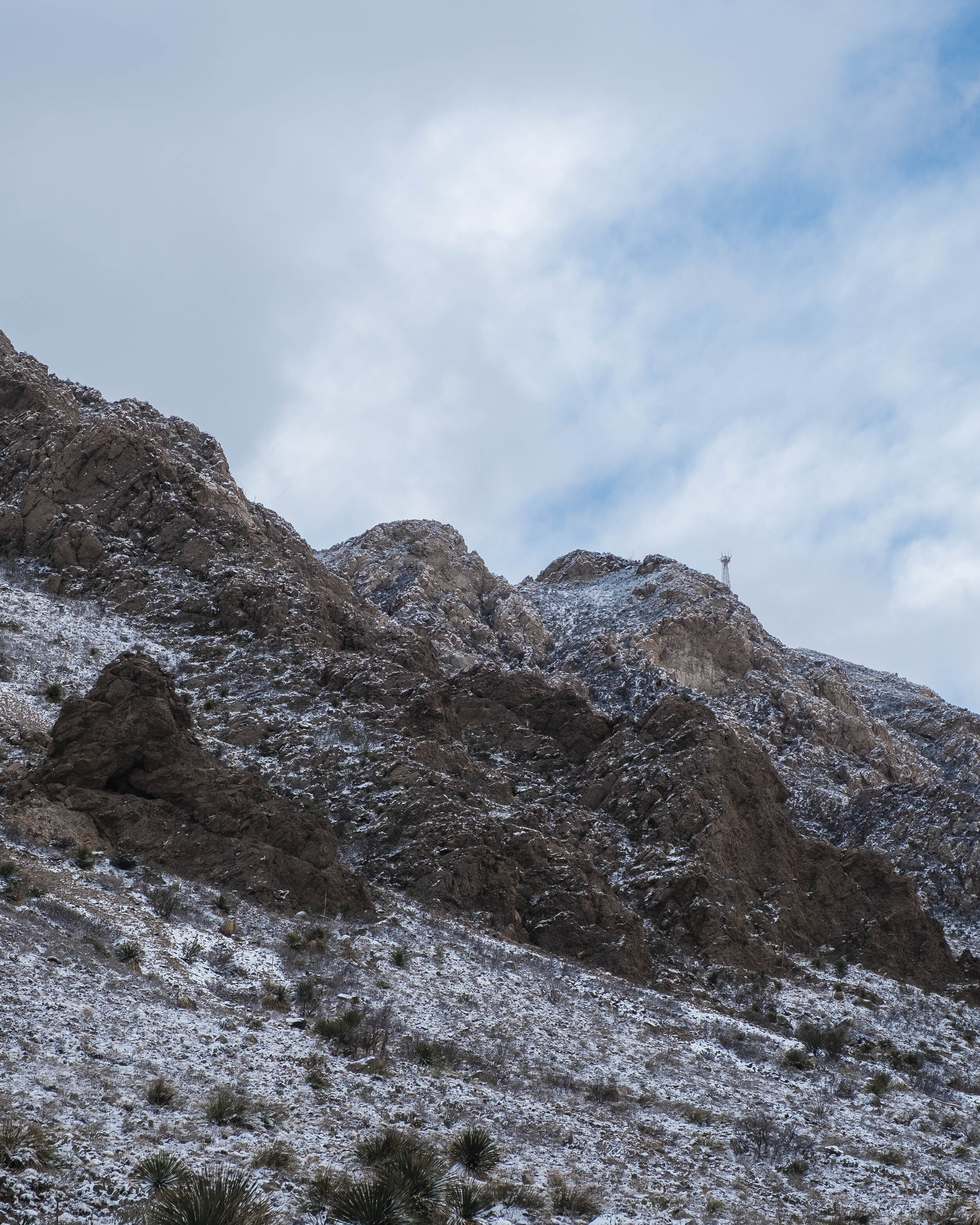 DSCF8396.jpg