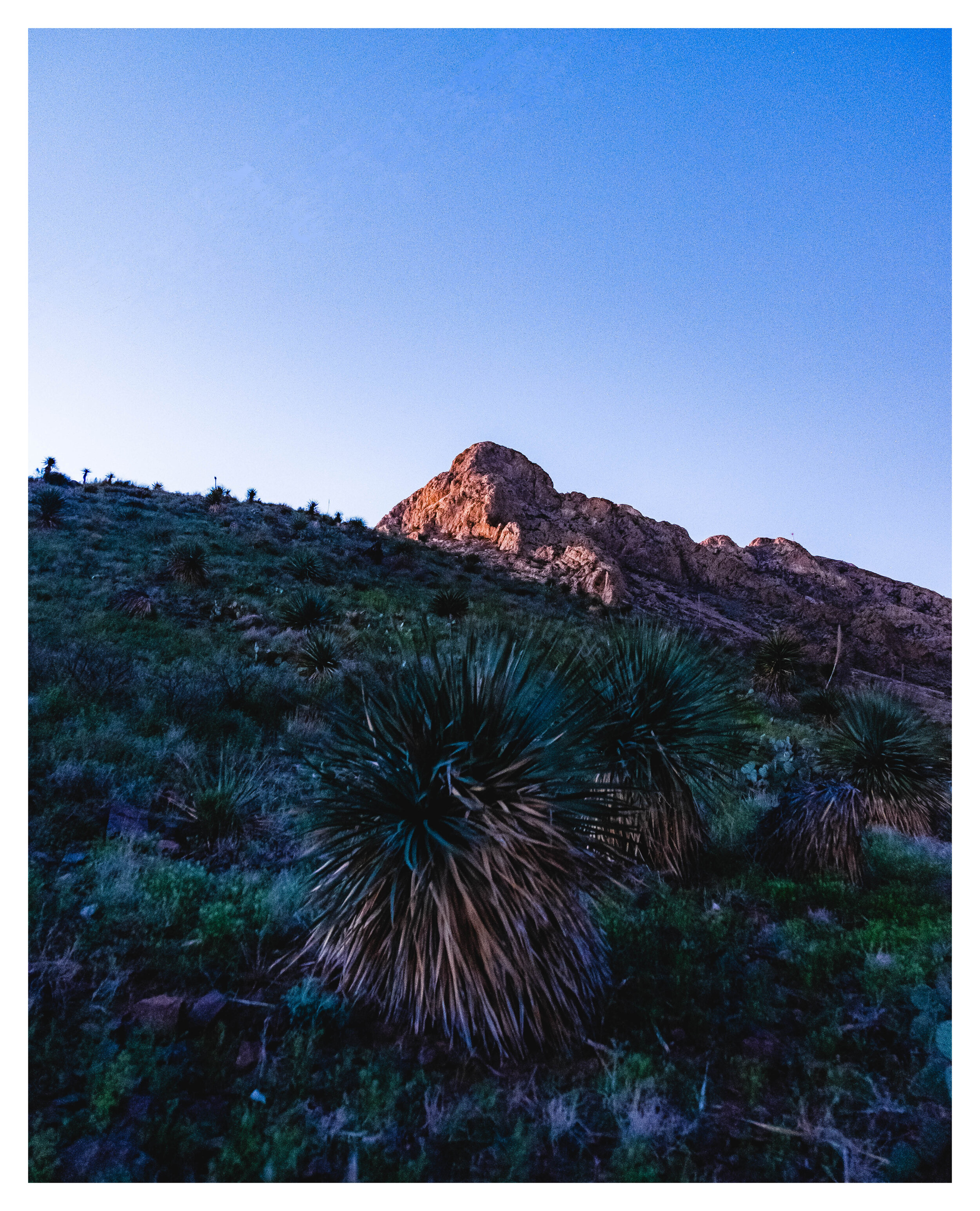 DSCF9161-Edit.jpg