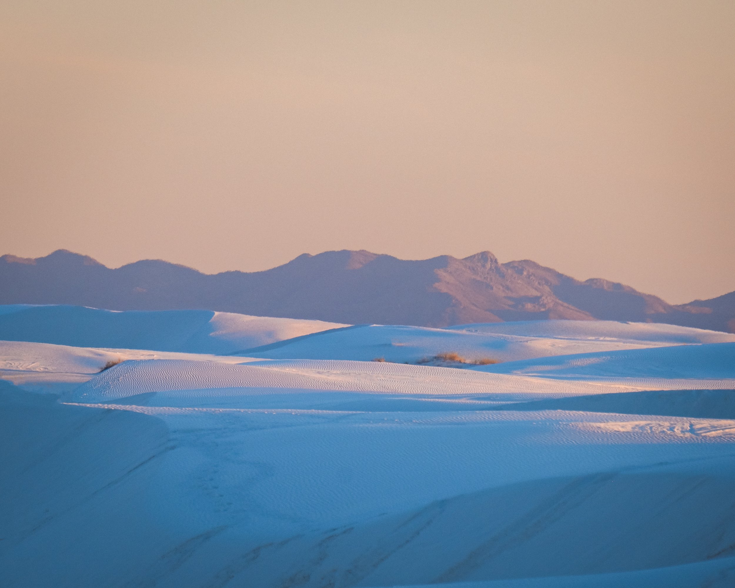 DSCF9661-Edit.jpg