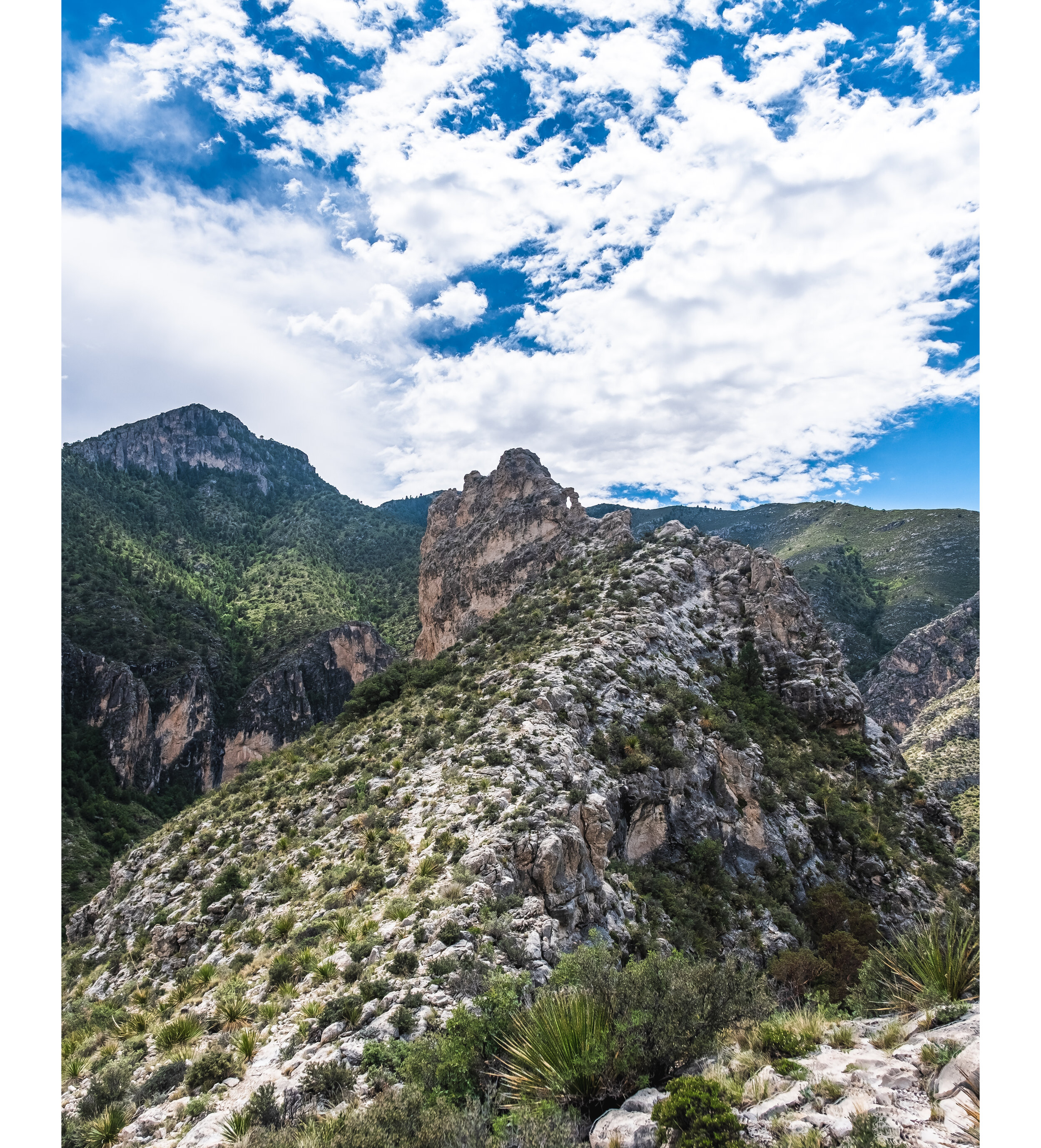 DSCF2698-HDR-Edit.jpg