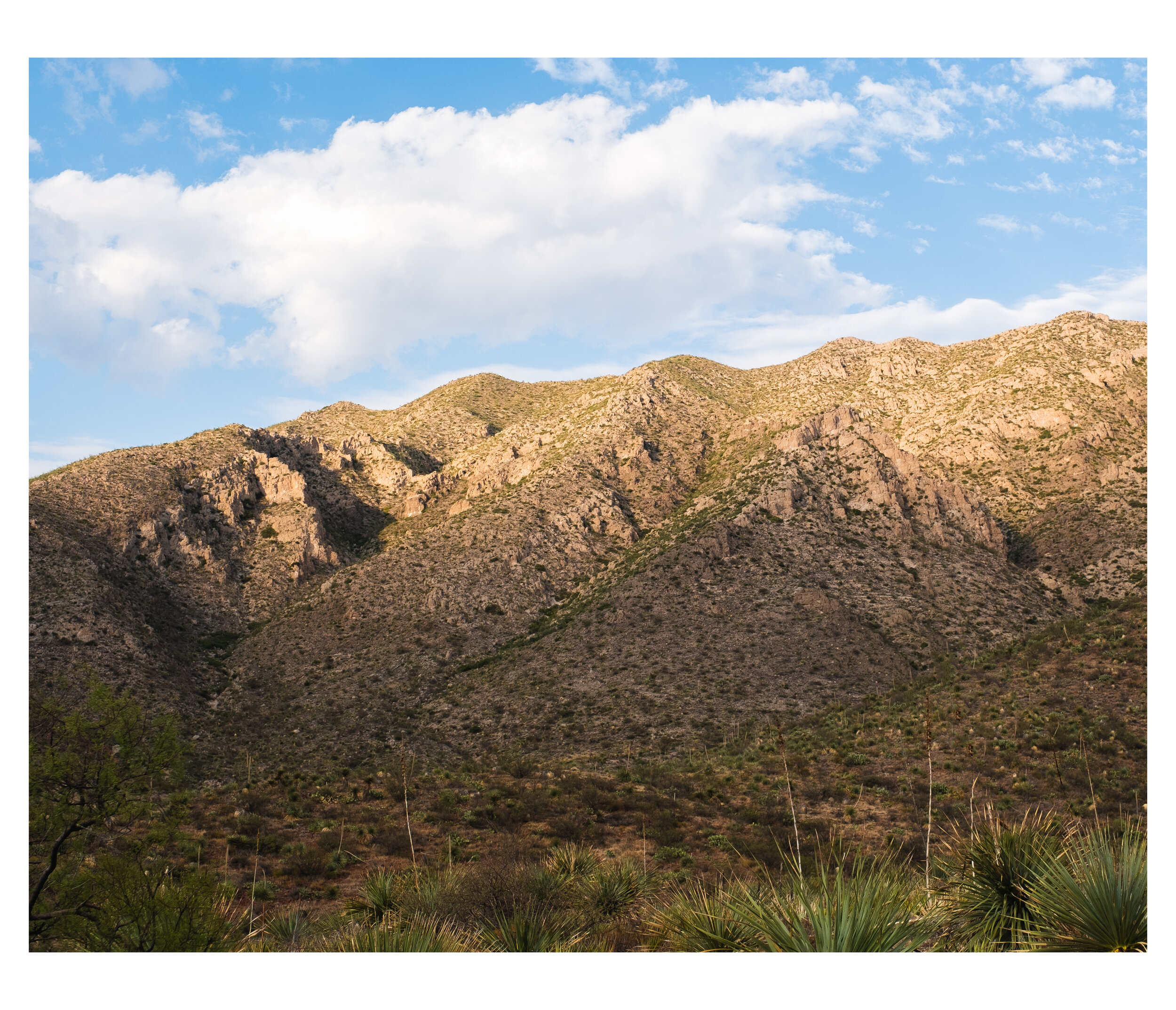 DSCF3339-HDR-Edit.jpg