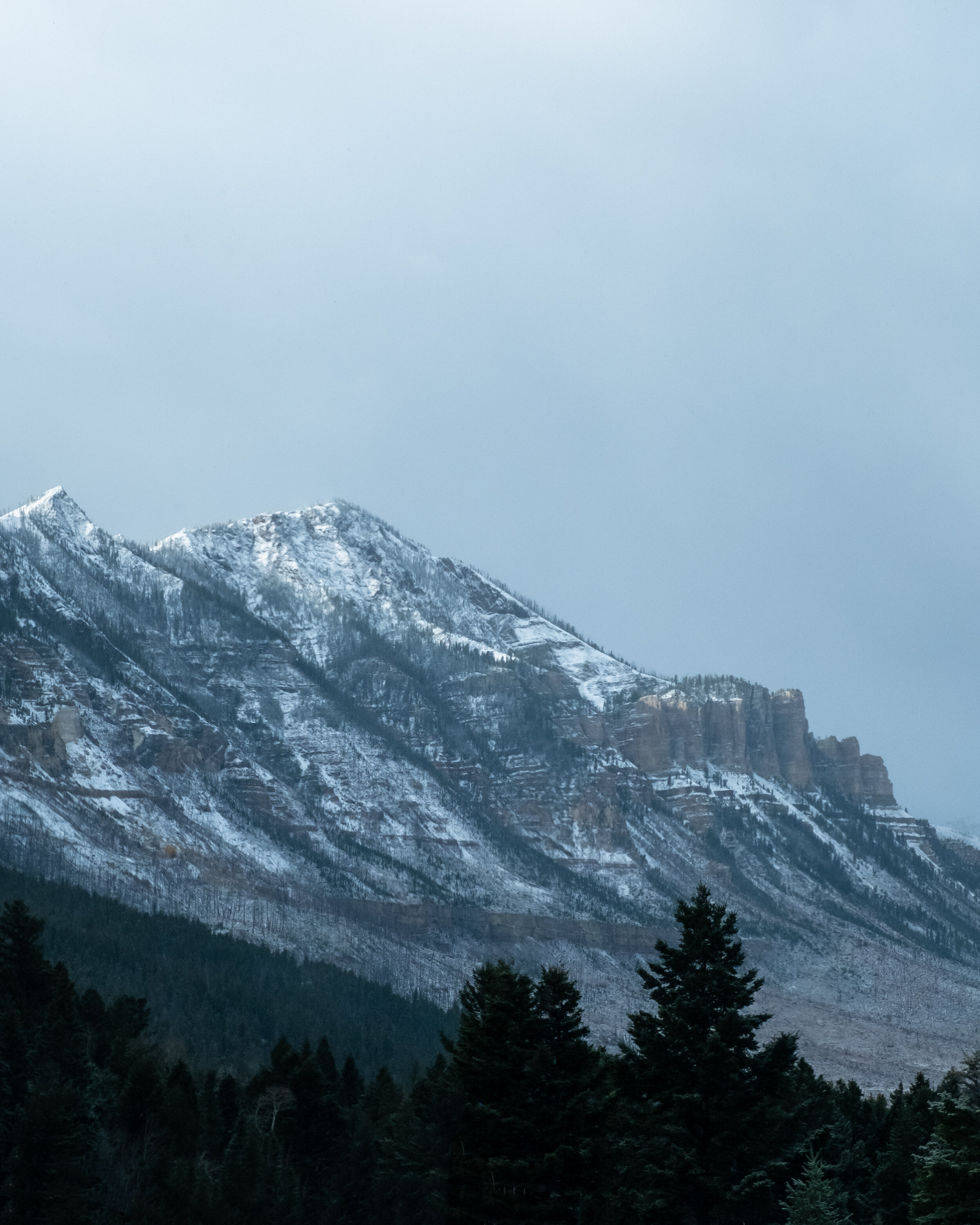 _DSF5994-Edit.jpg