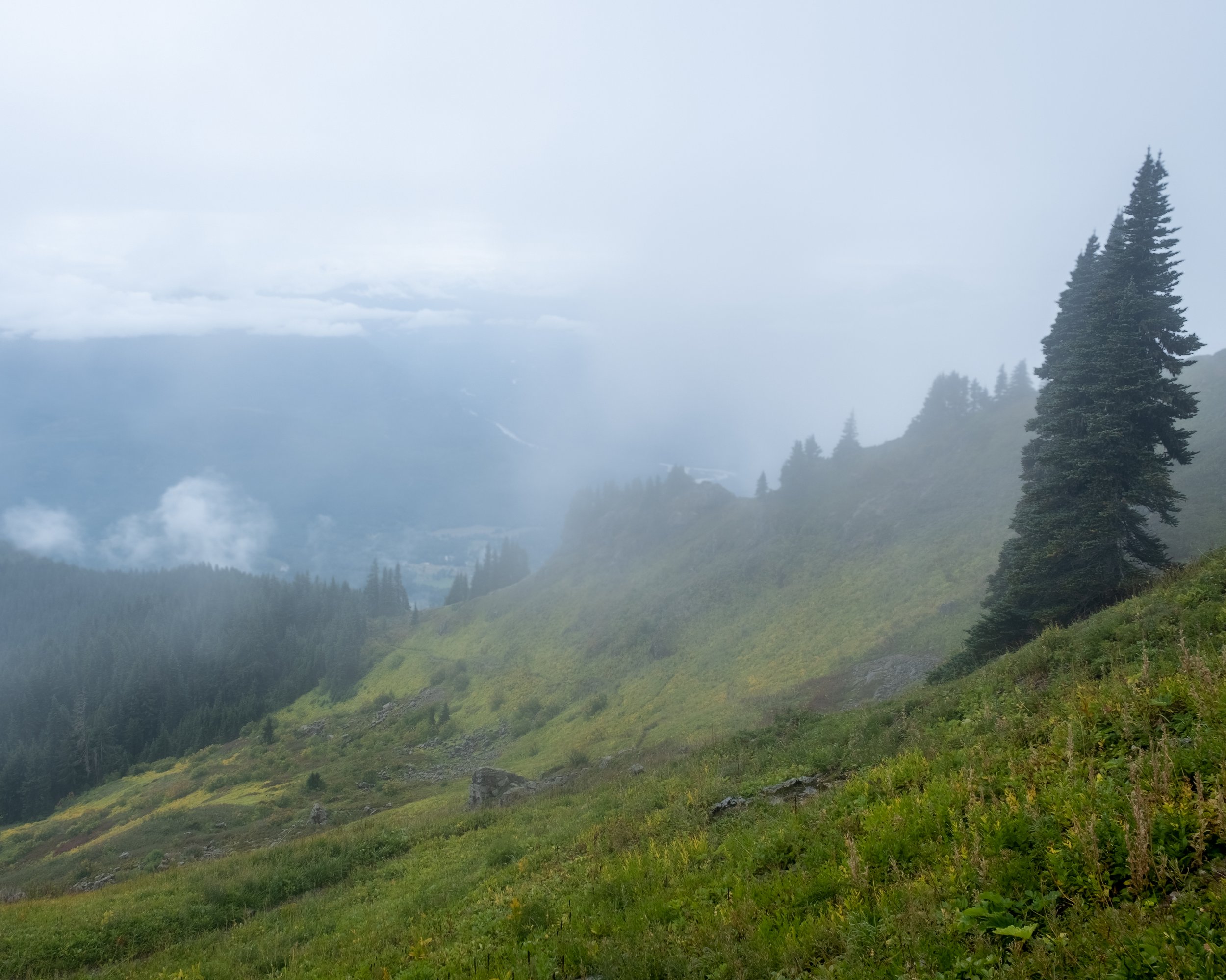 DSCF7991-HDR.jpg