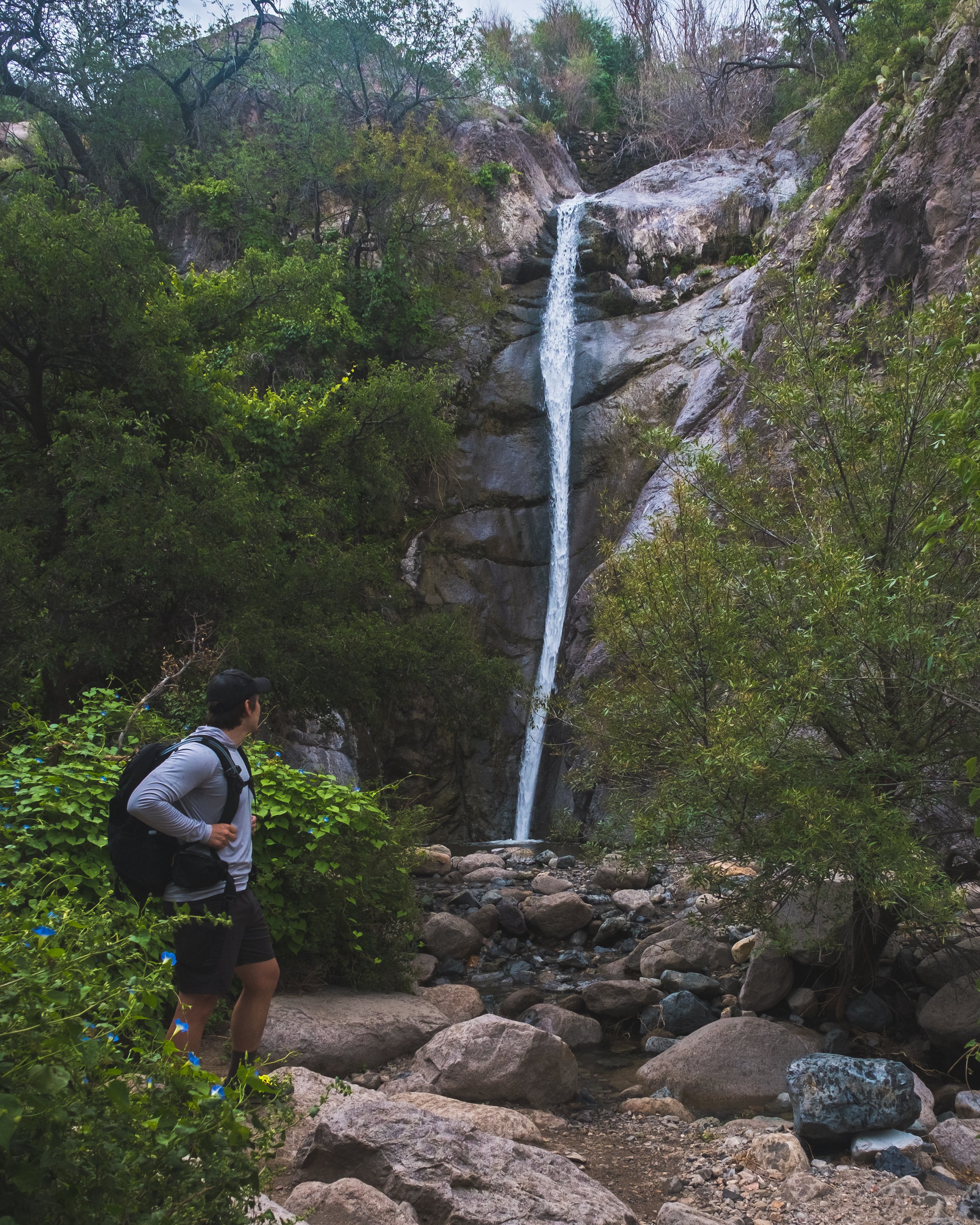 DSCF6778.jpg