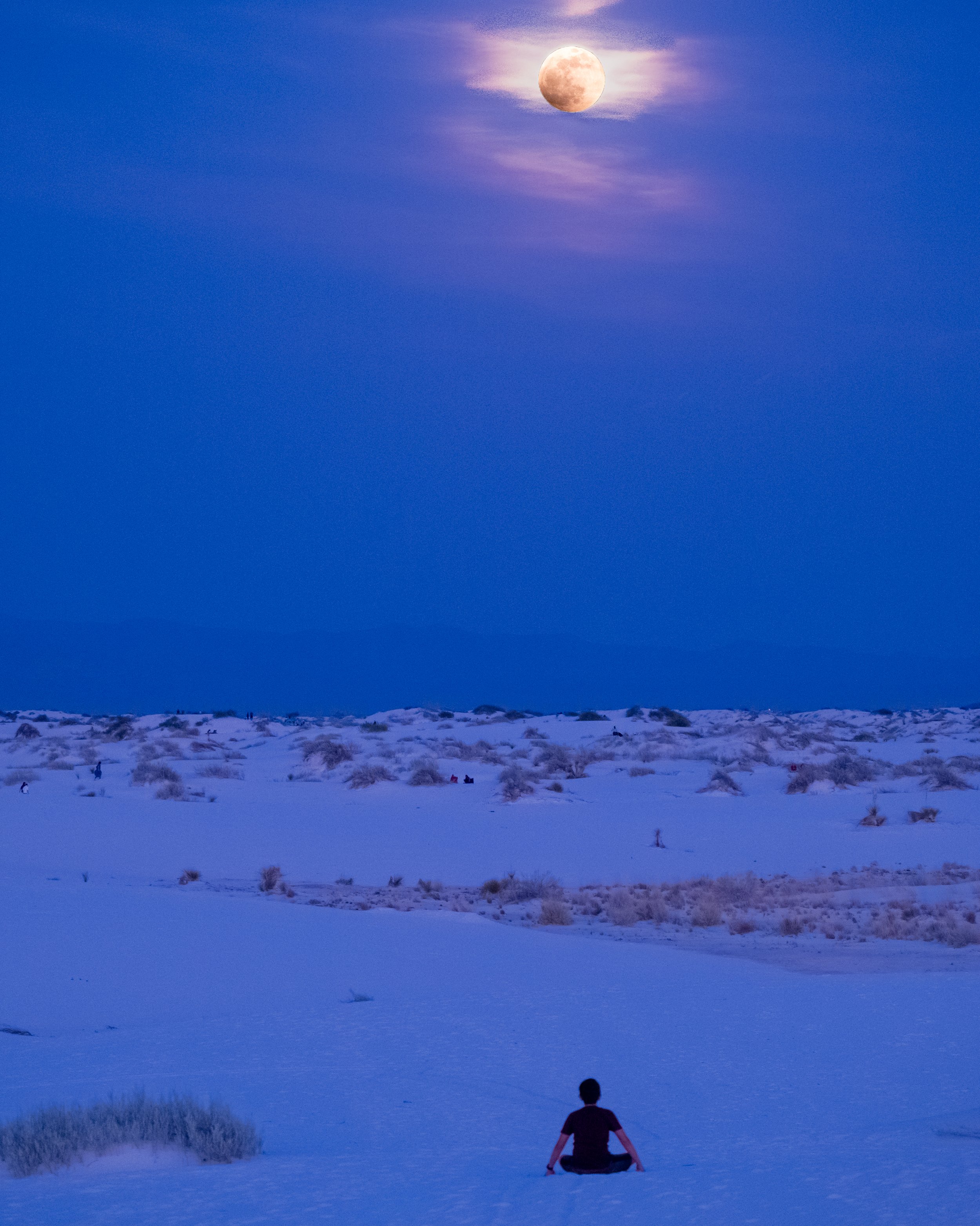 DSCF3086-Edit.jpg