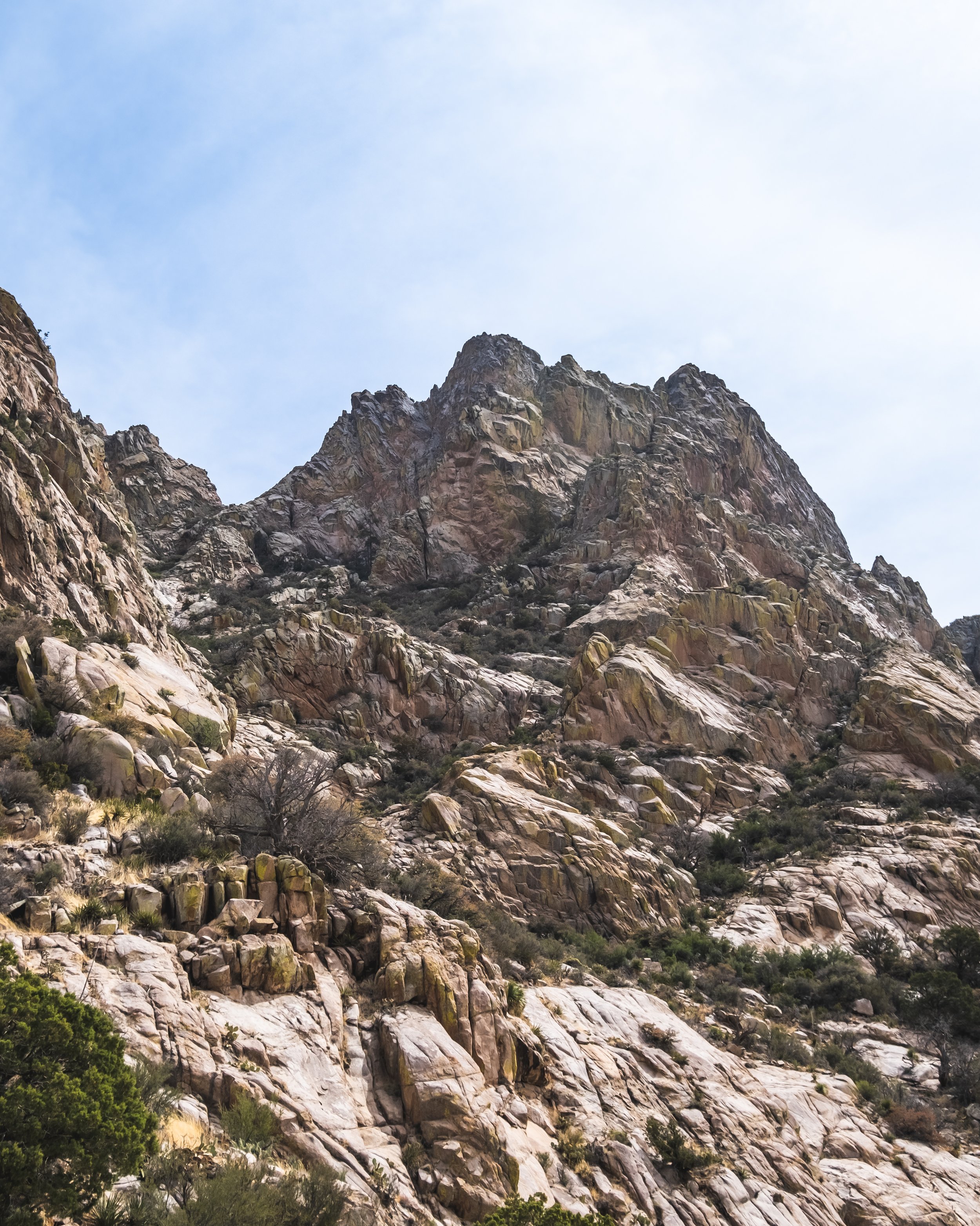 DSCF1813-HDR.jpg