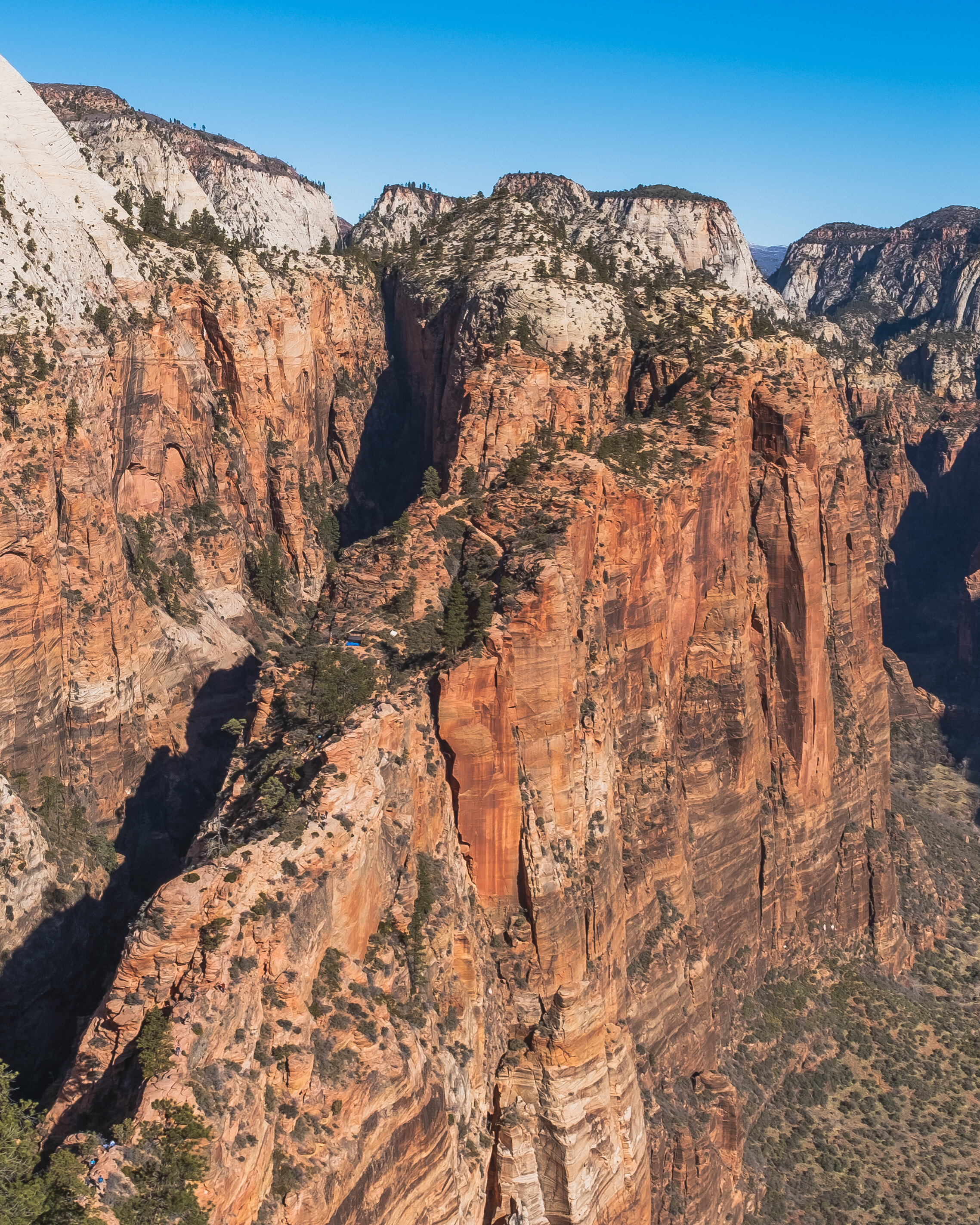 _DSF0206-Pano.jpg