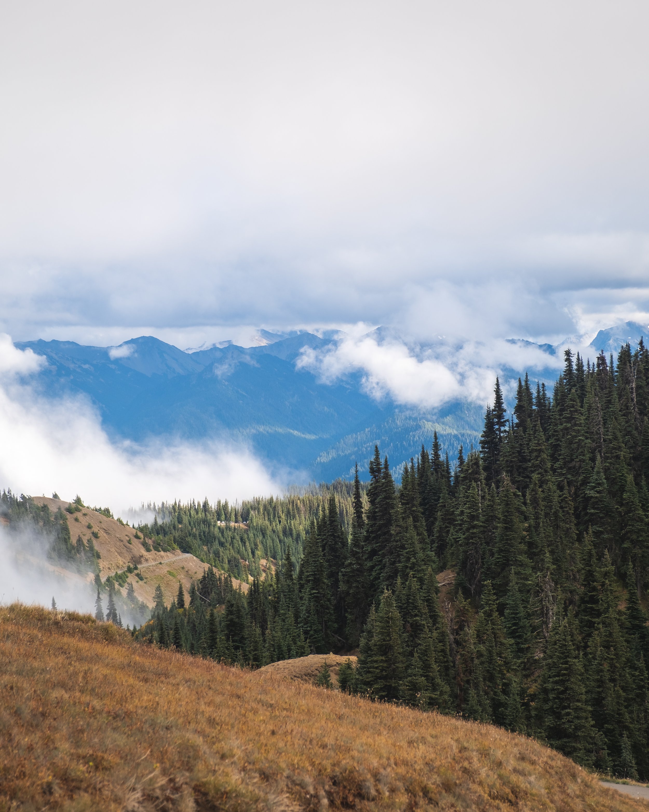 DSCF7208-Edit.jpg