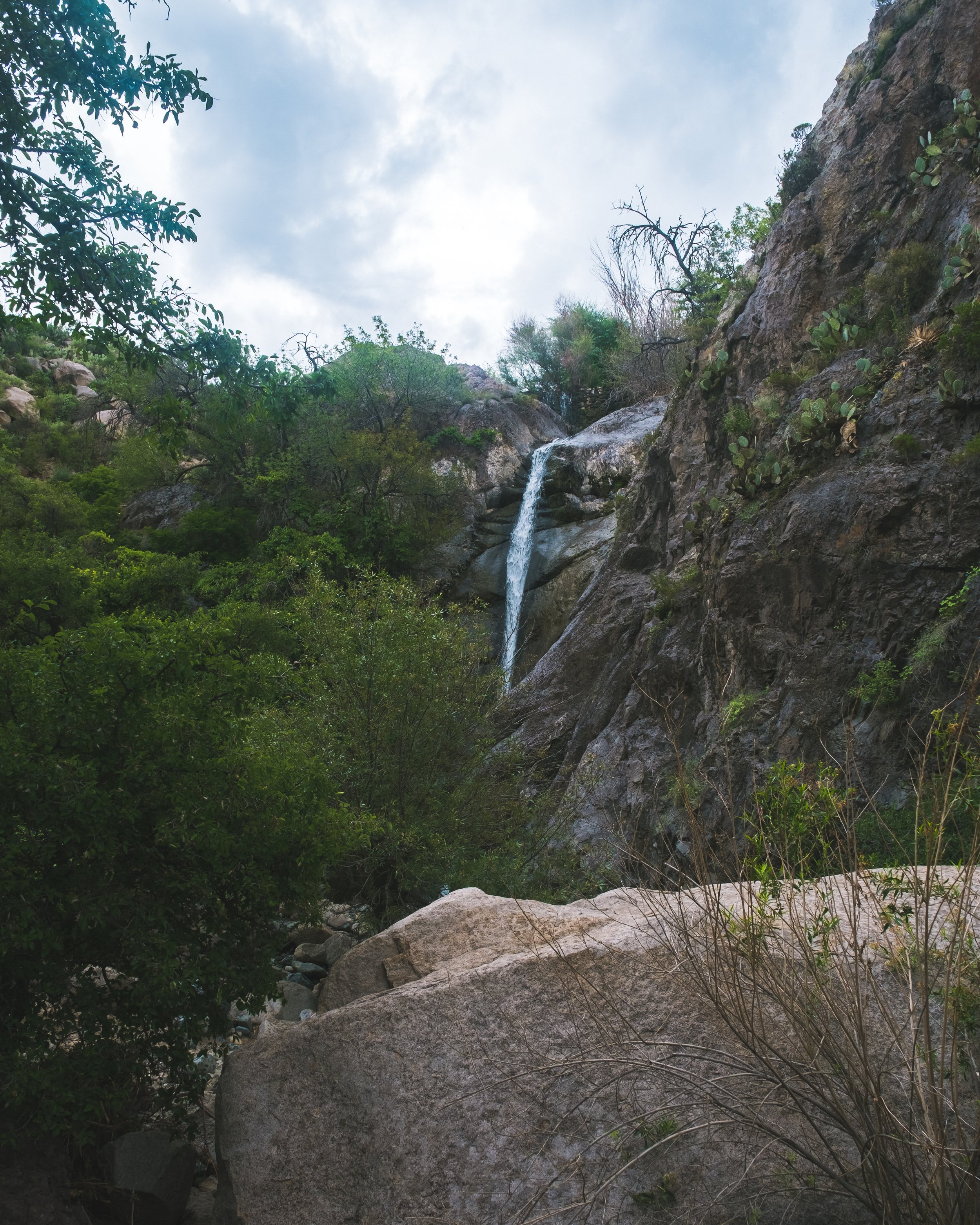 DSCF6773.jpg