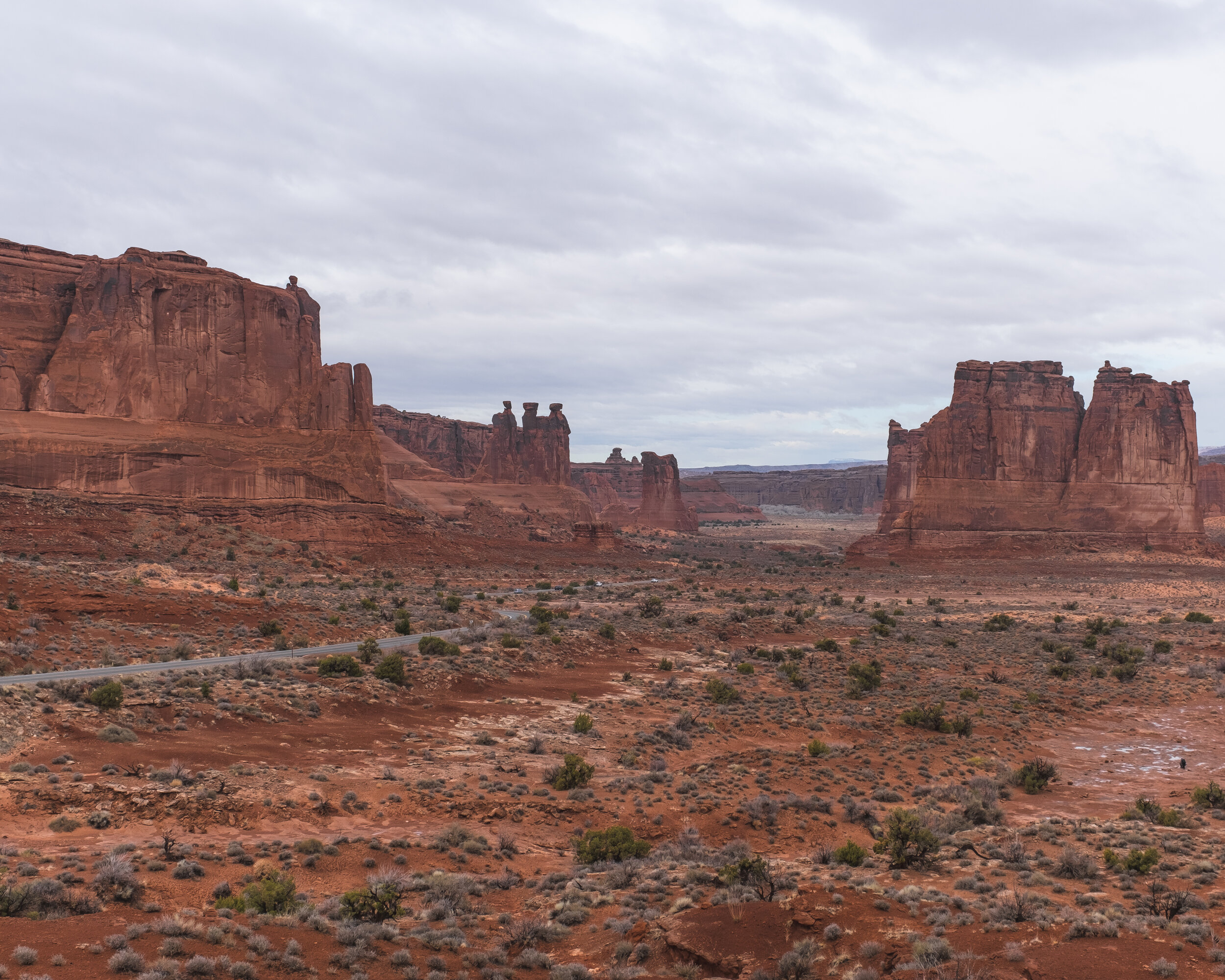 _DSF0791.jpg