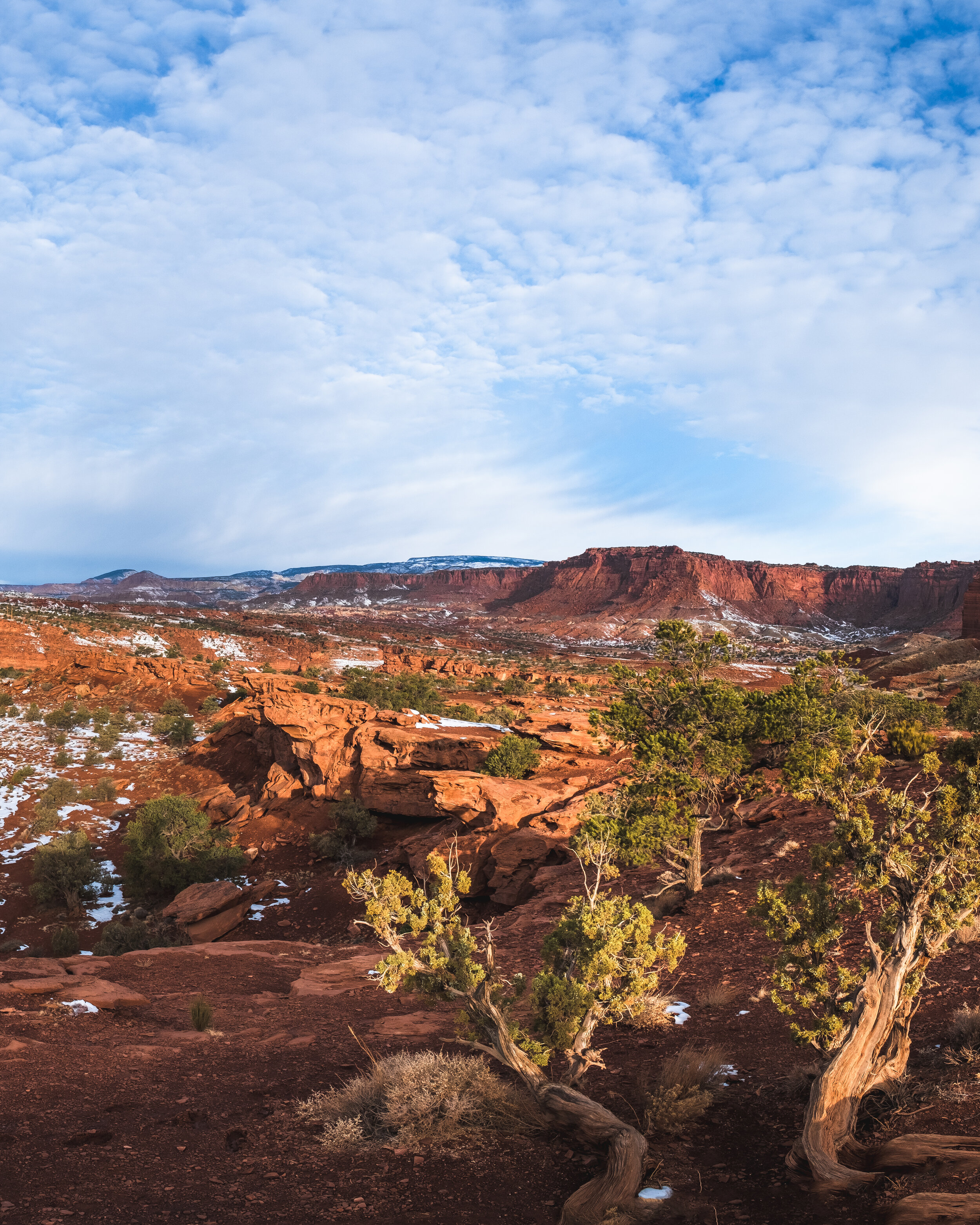 _DSF1070-Pano.jpg