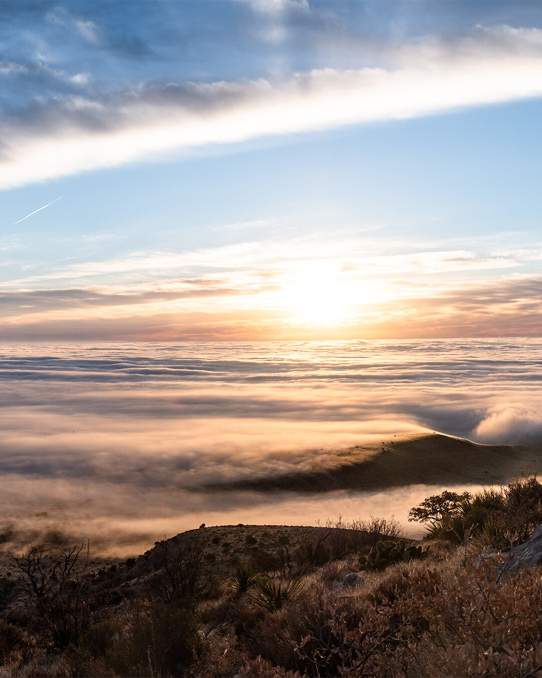 _DSF9093-Pano-Edit.jpg