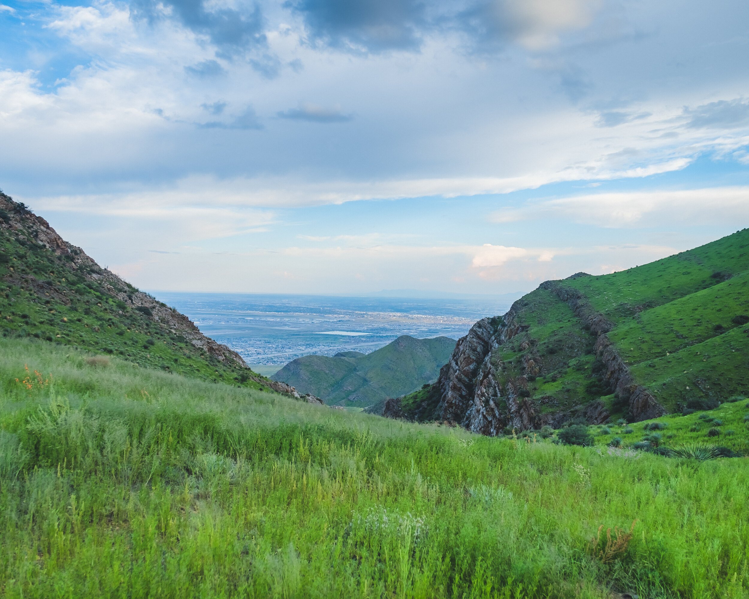 DSCF6728-HDR.jpg