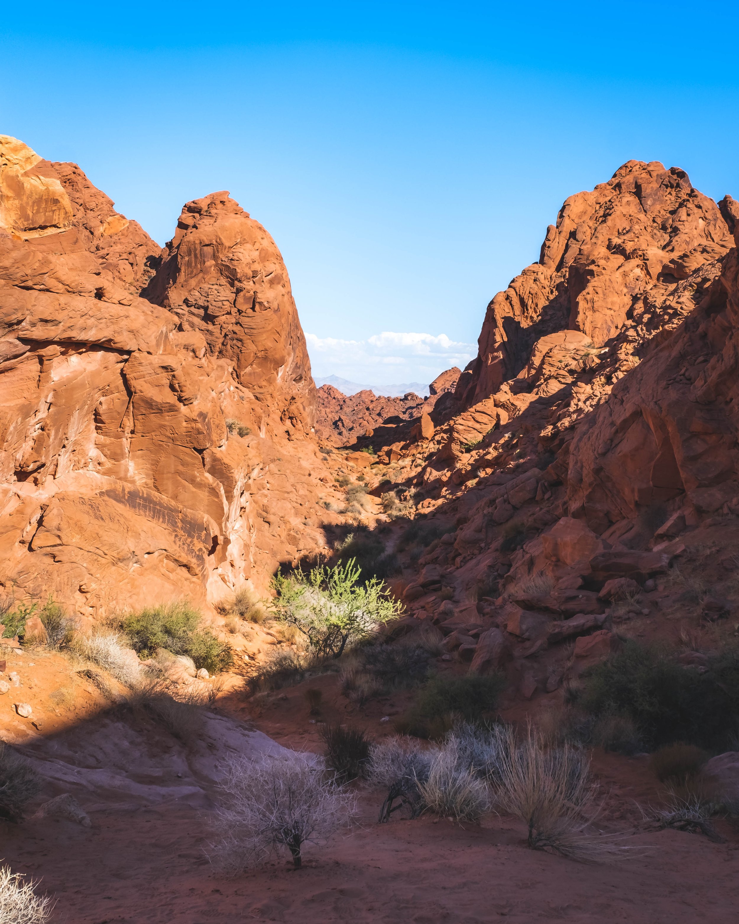 _DSF4346-HDR.jpg