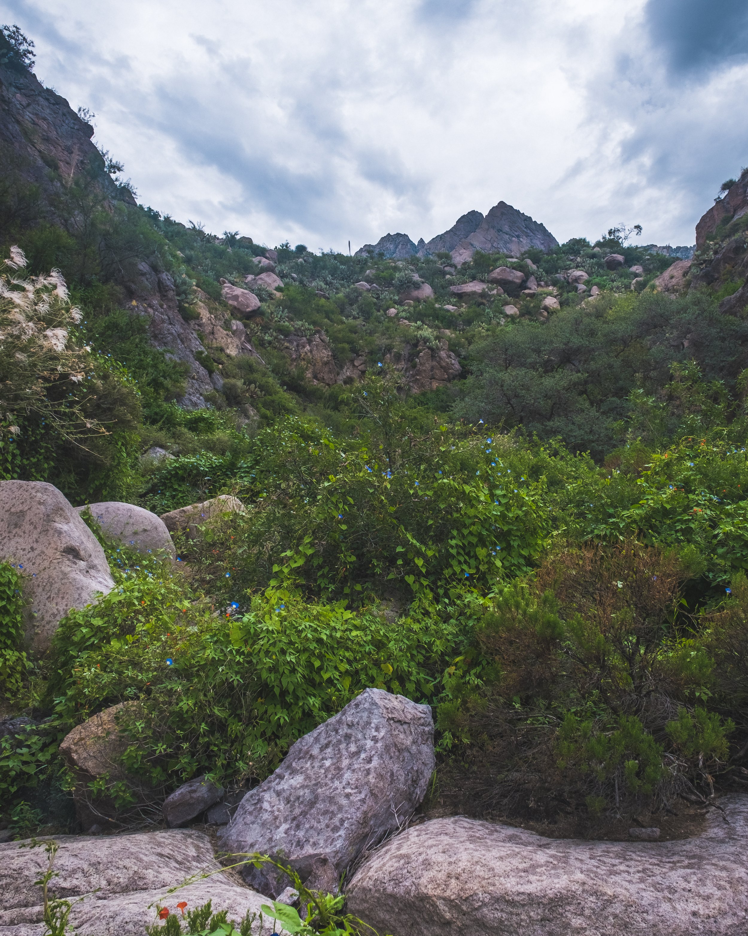 DSCF6769.jpg