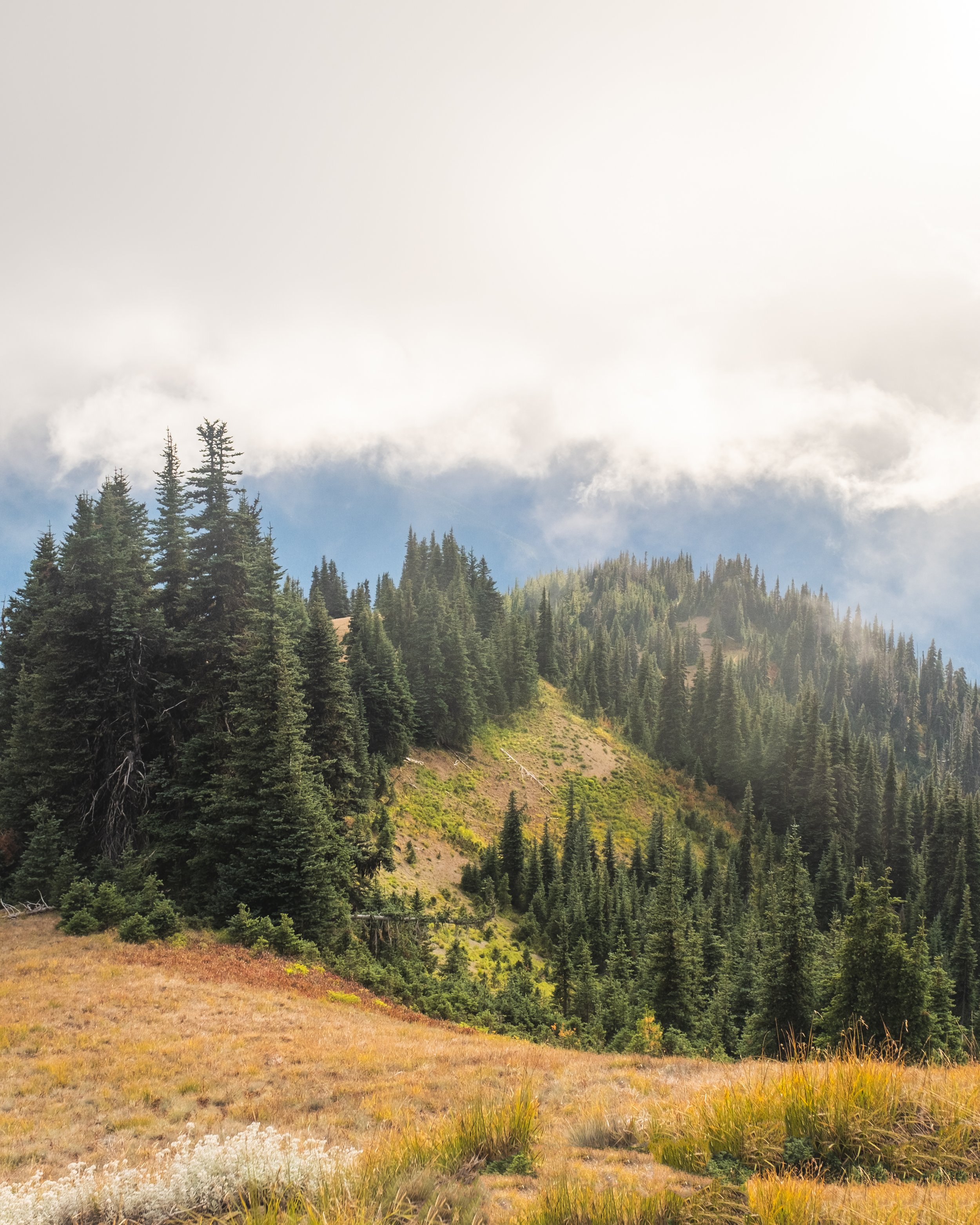DSCF7282-HDR-Edit.jpg