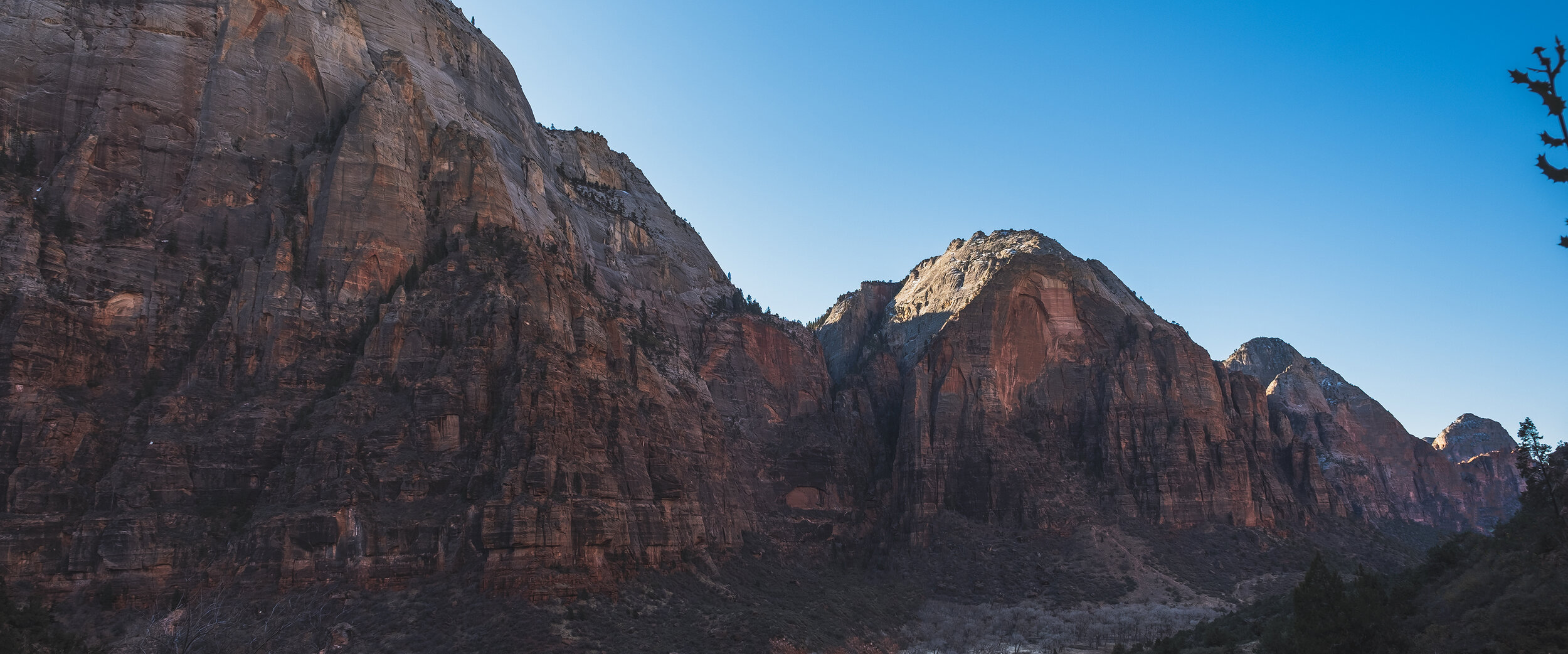 _DSF0081.jpg