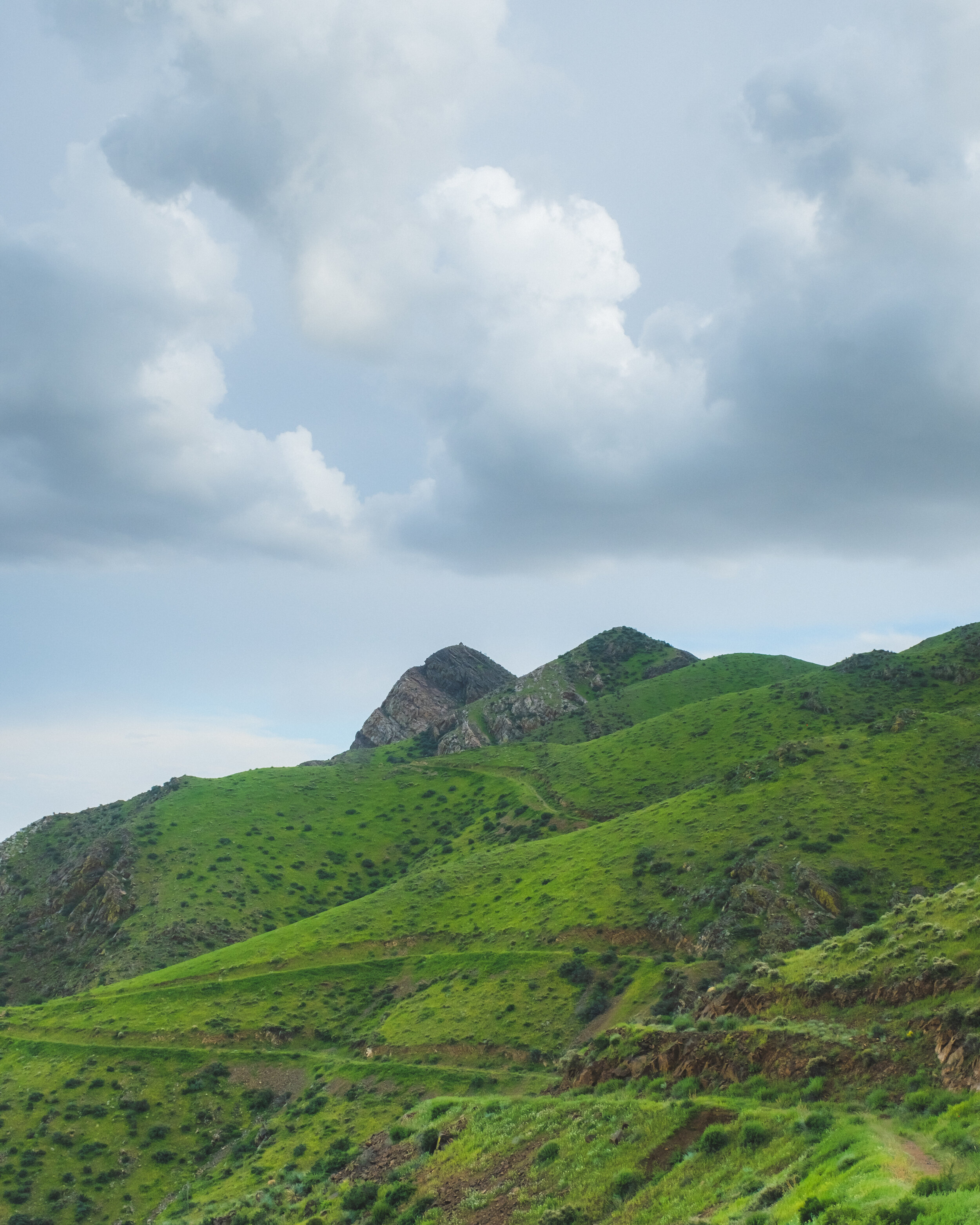 DSCF6593.jpg