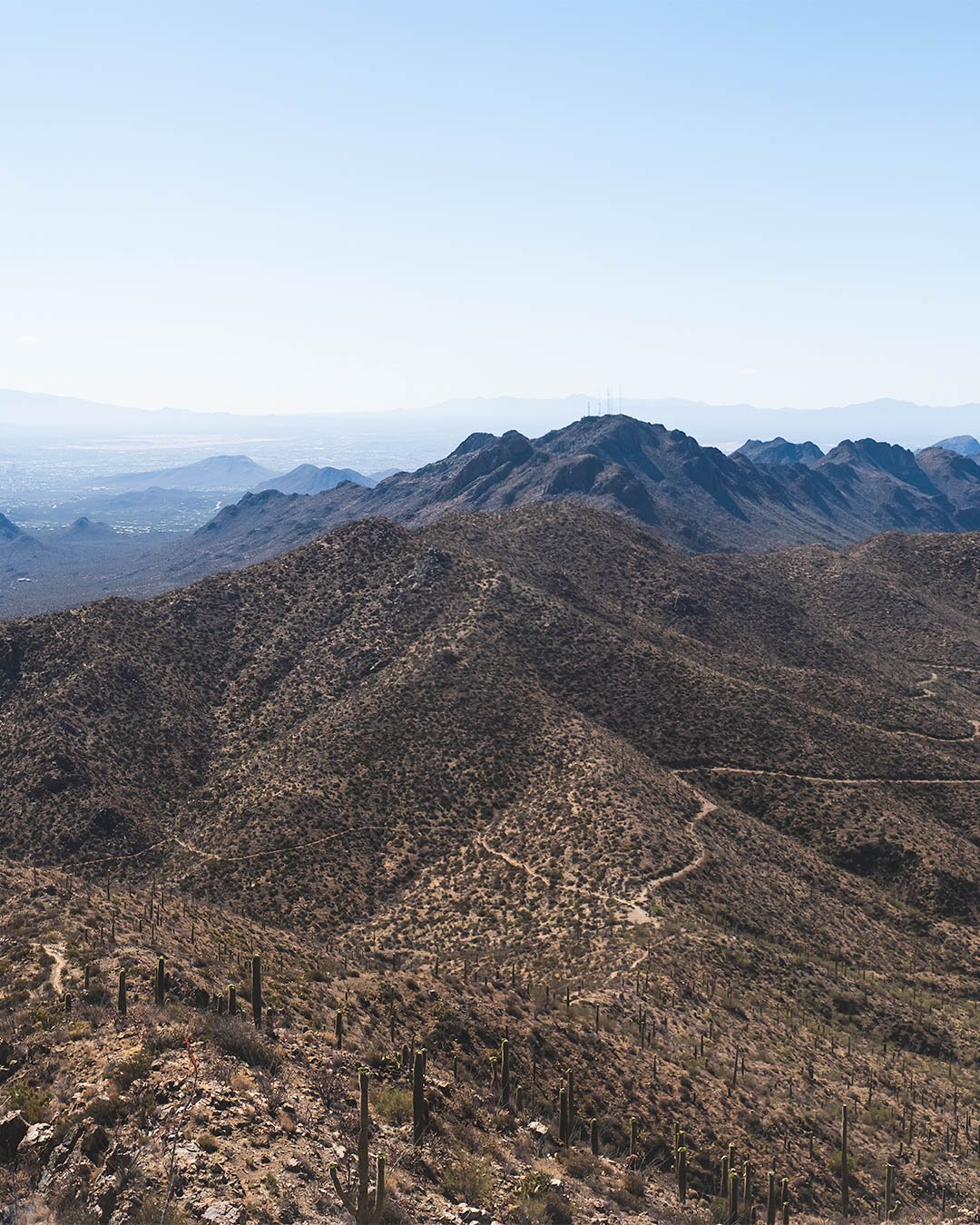 _DSF3474-Pano-Edit.jpg