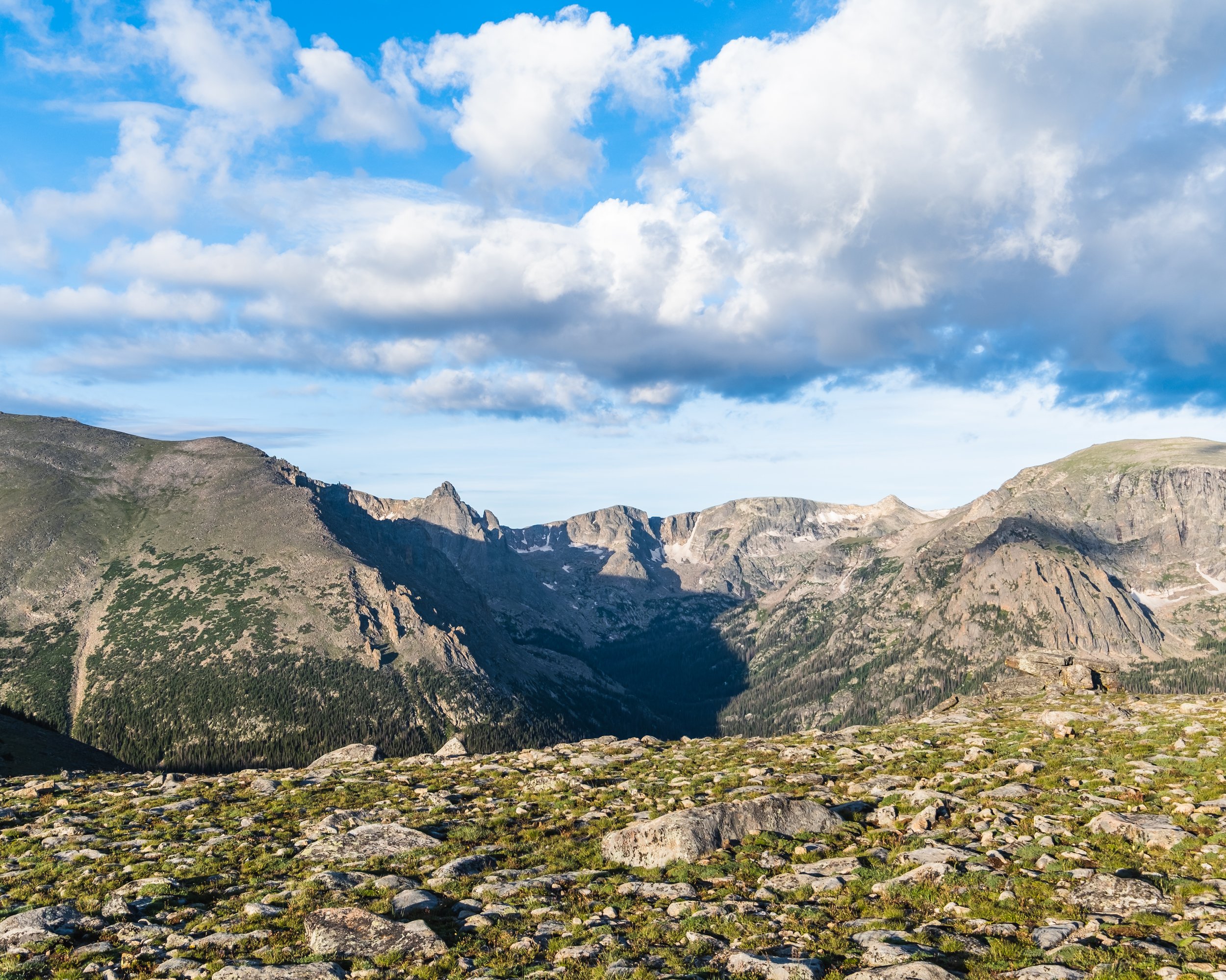 DSCF5491.jpg