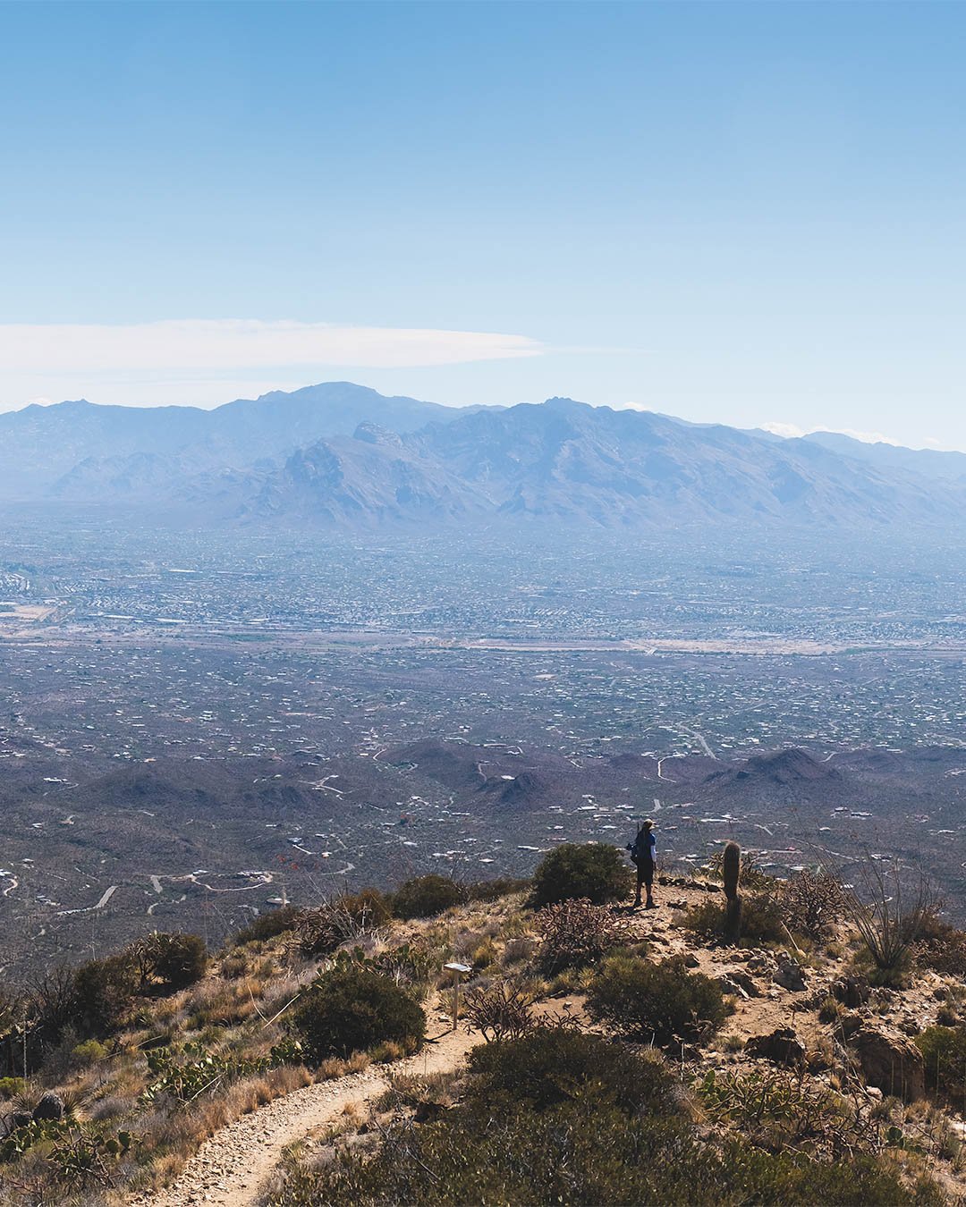 _DSF3530-Pano-Edit.jpg