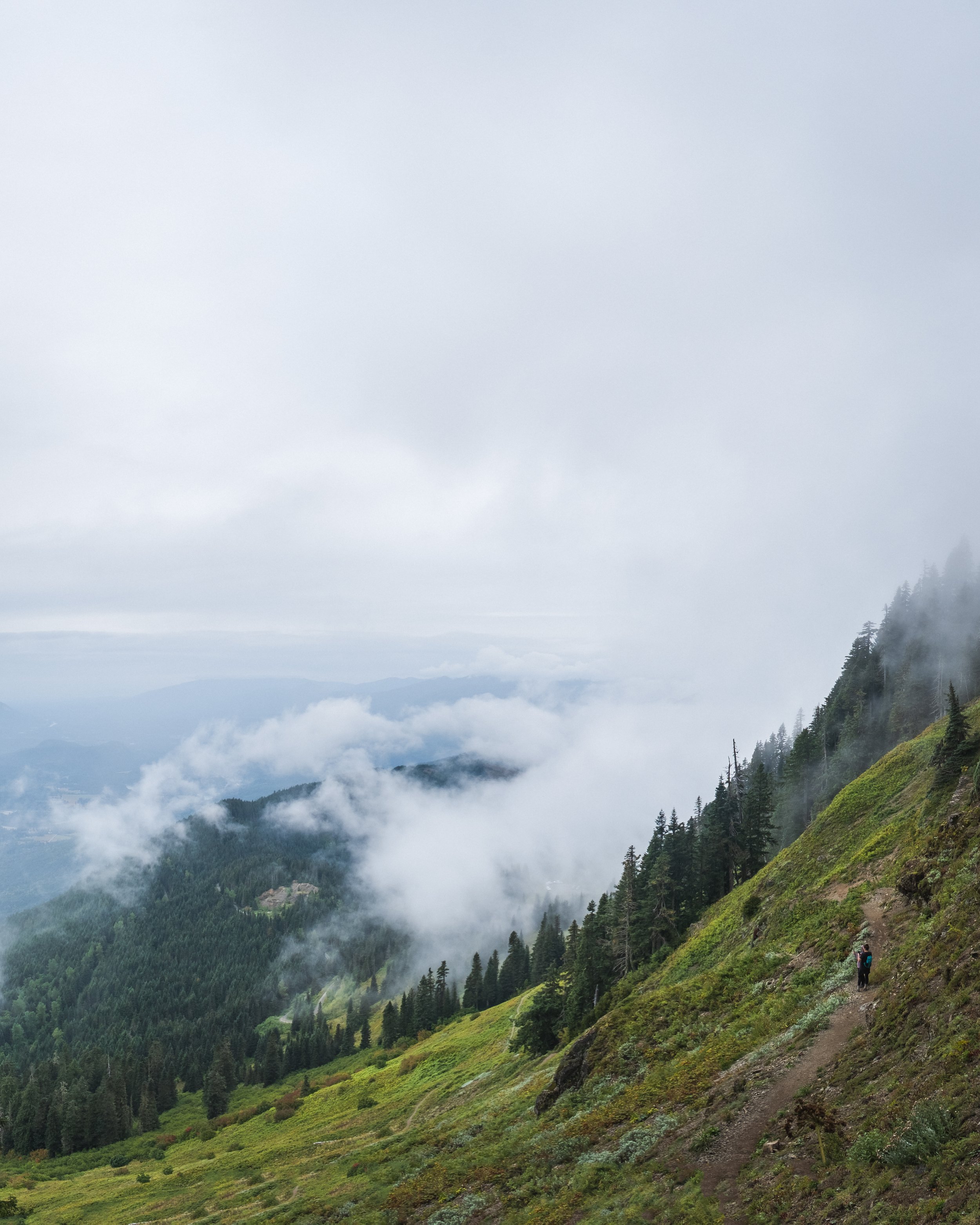 DSCF7901-Pano.jpg