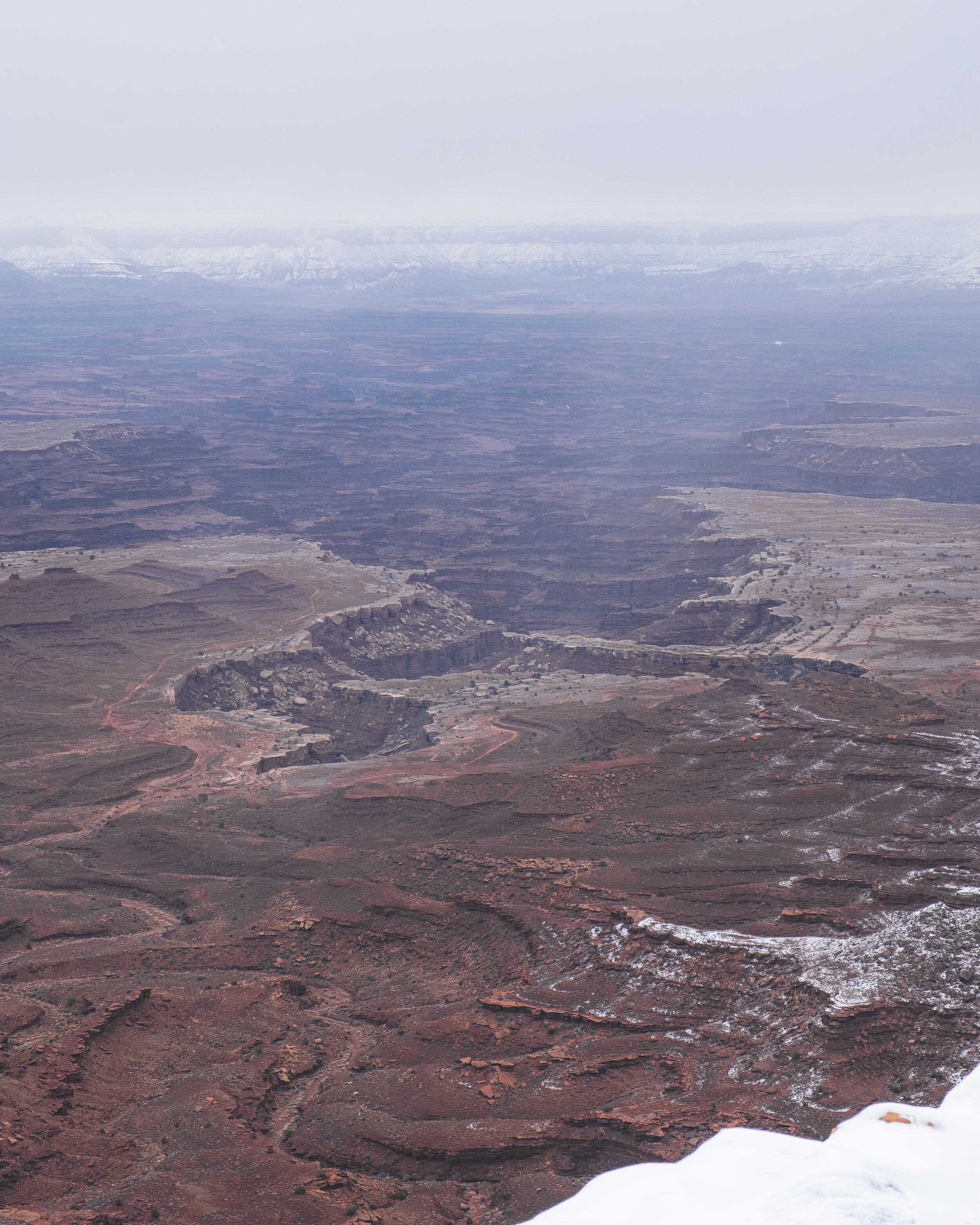 _DSF0700.jpg
