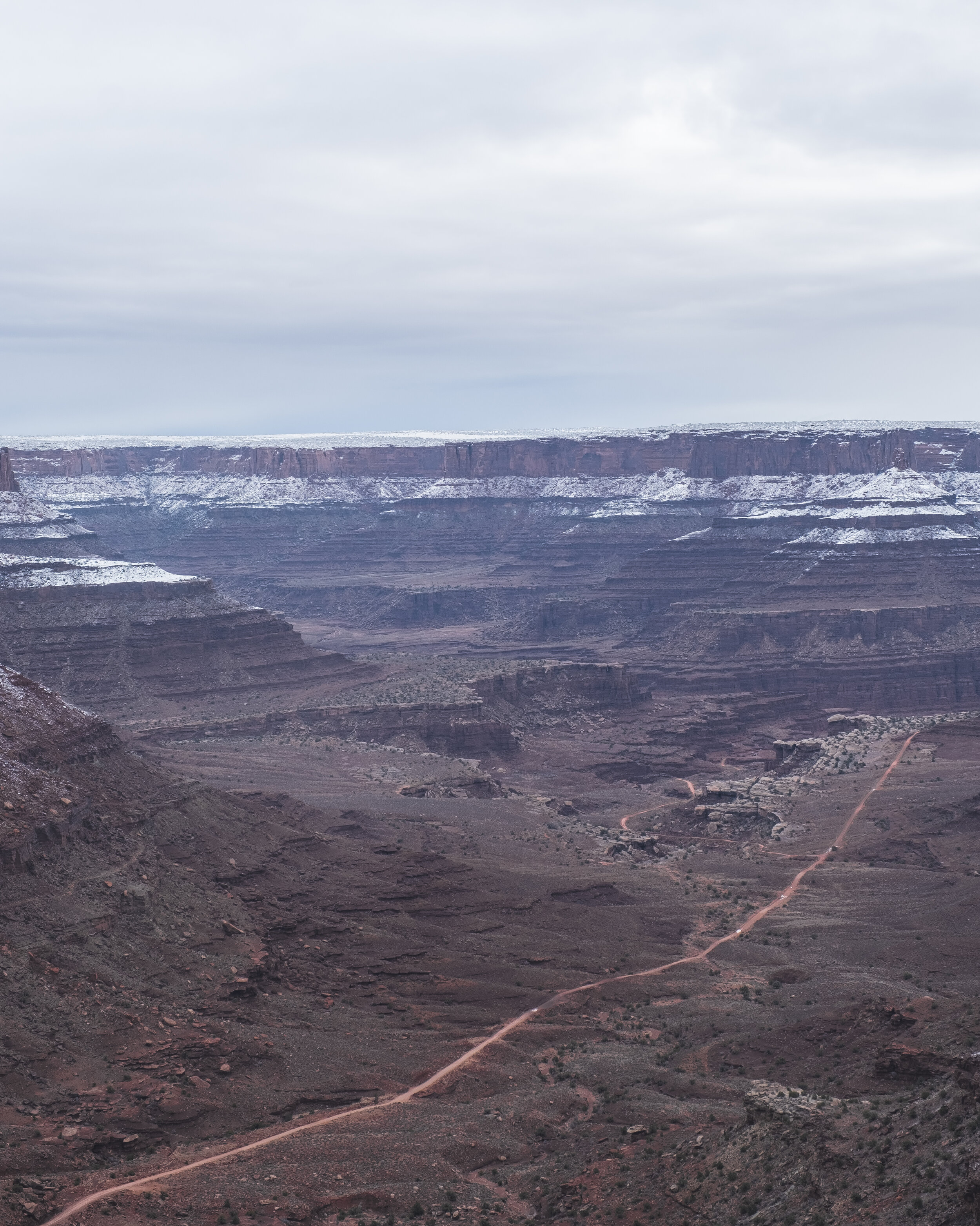 _DSF0771.jpg