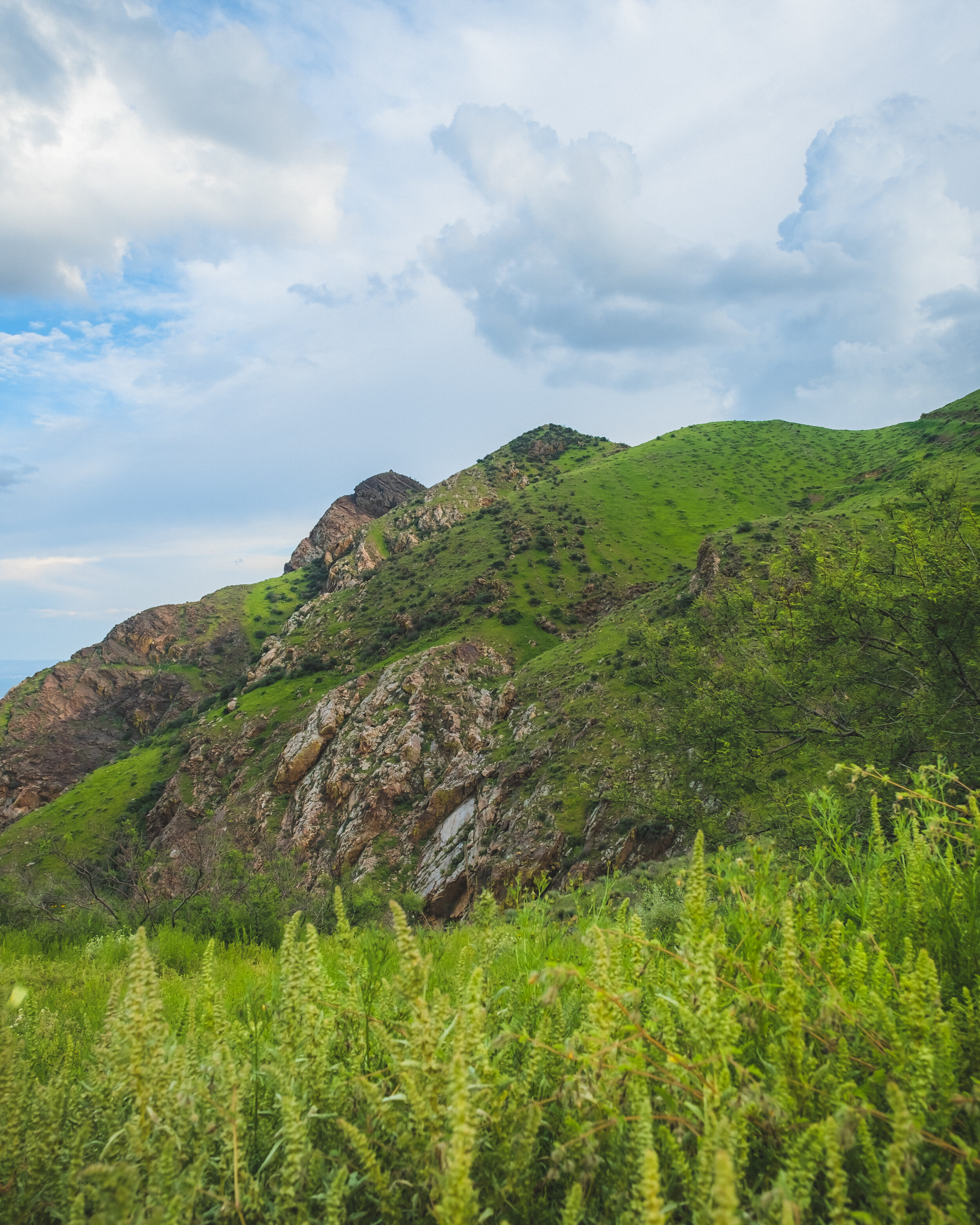 DSCF6702-HDR.jpg