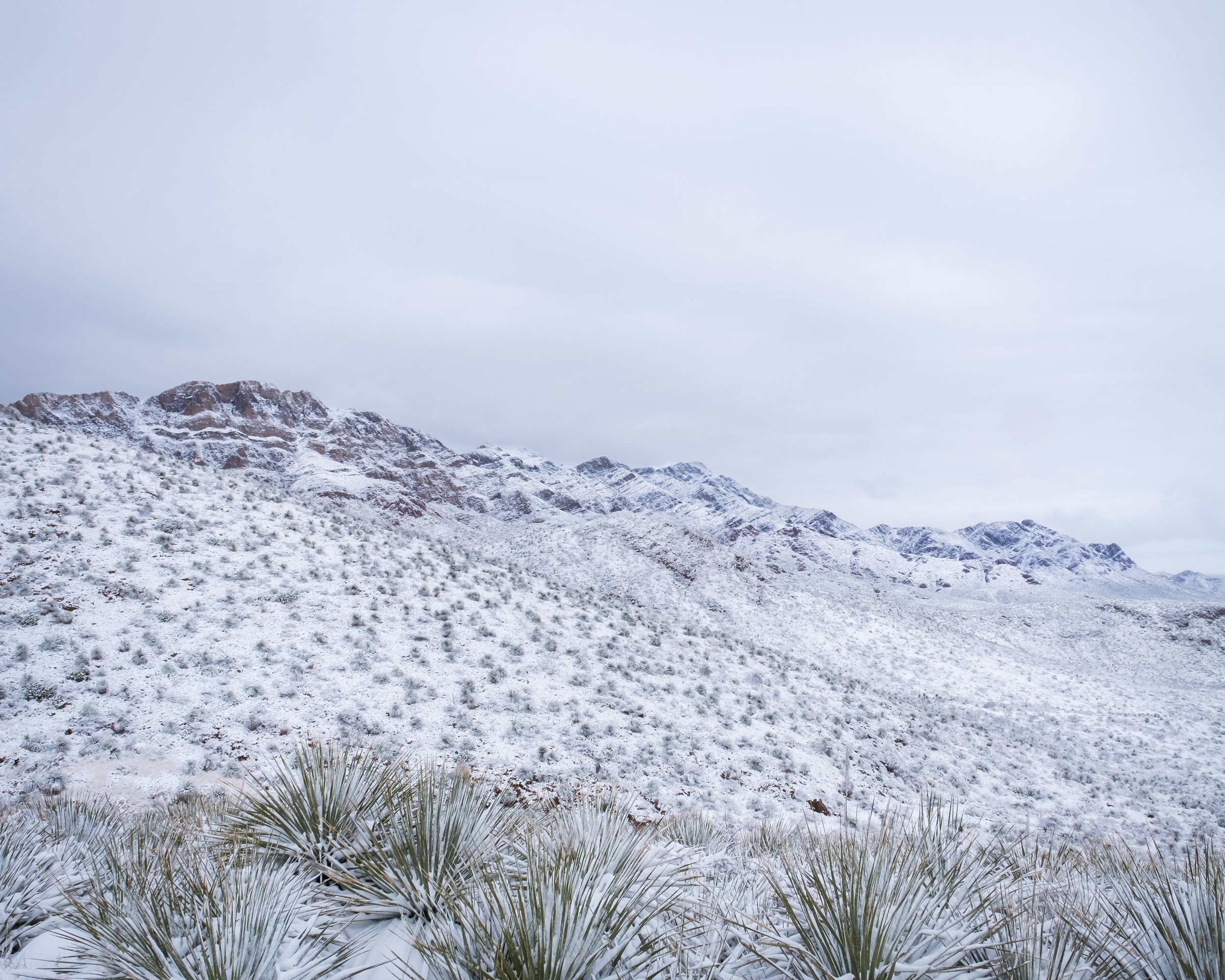 DSCF9076-HDR.jpg