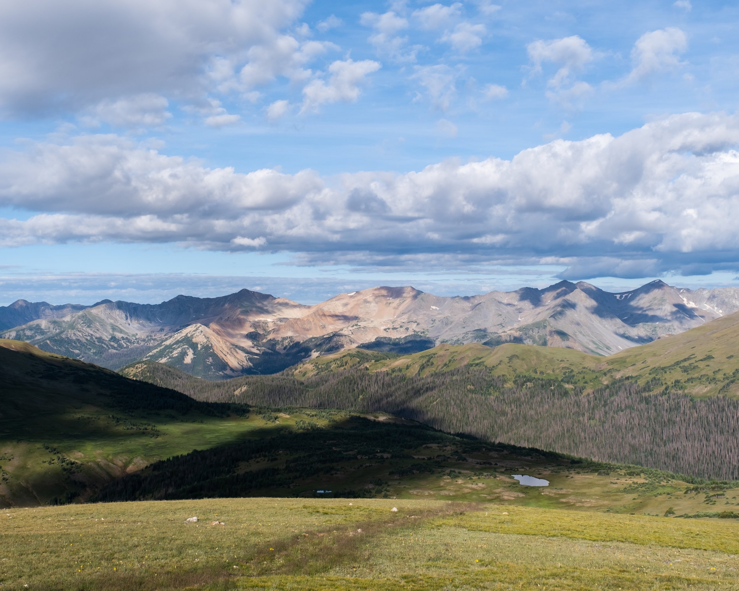 DSCF5579.jpg