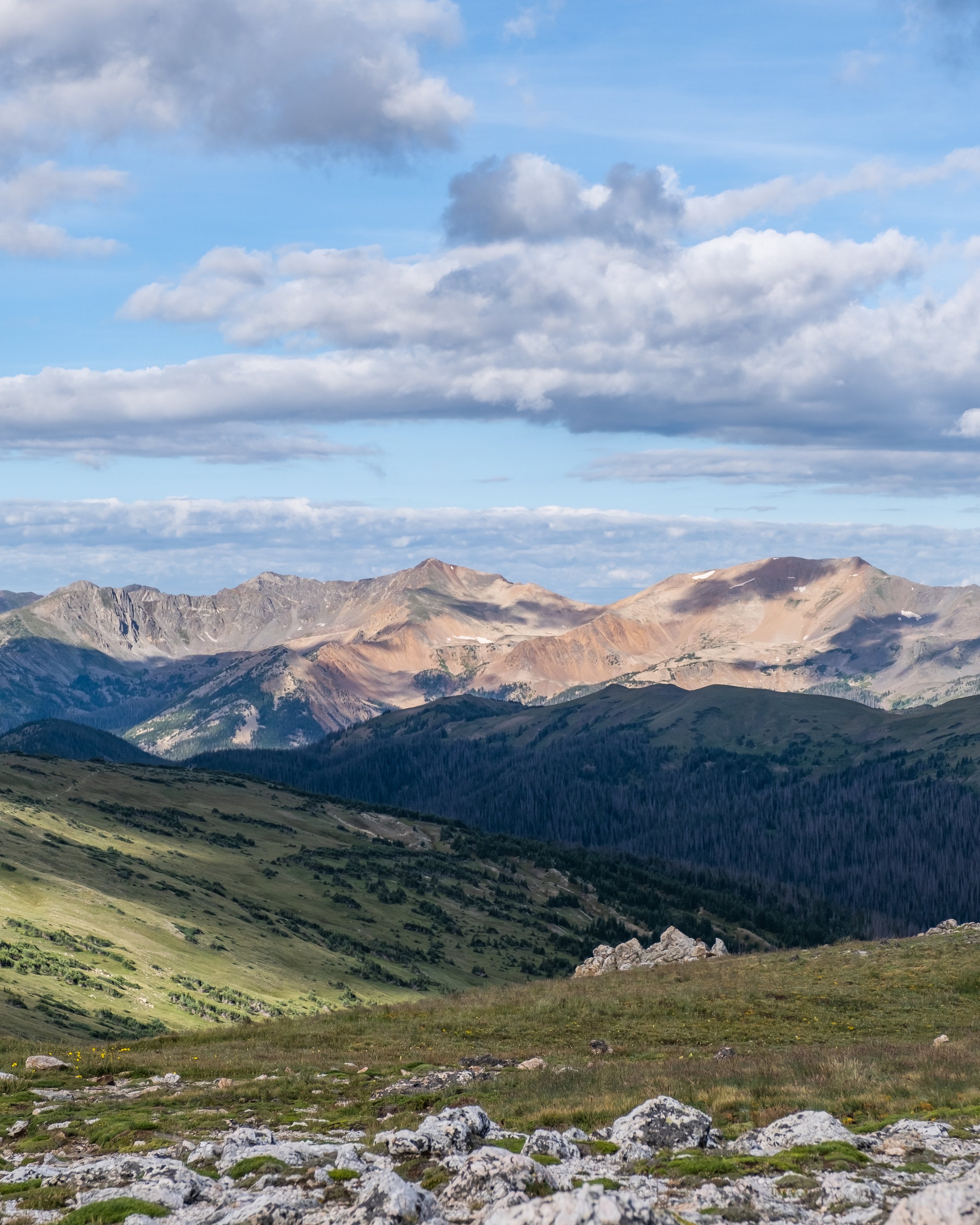 DSCF5589.jpg