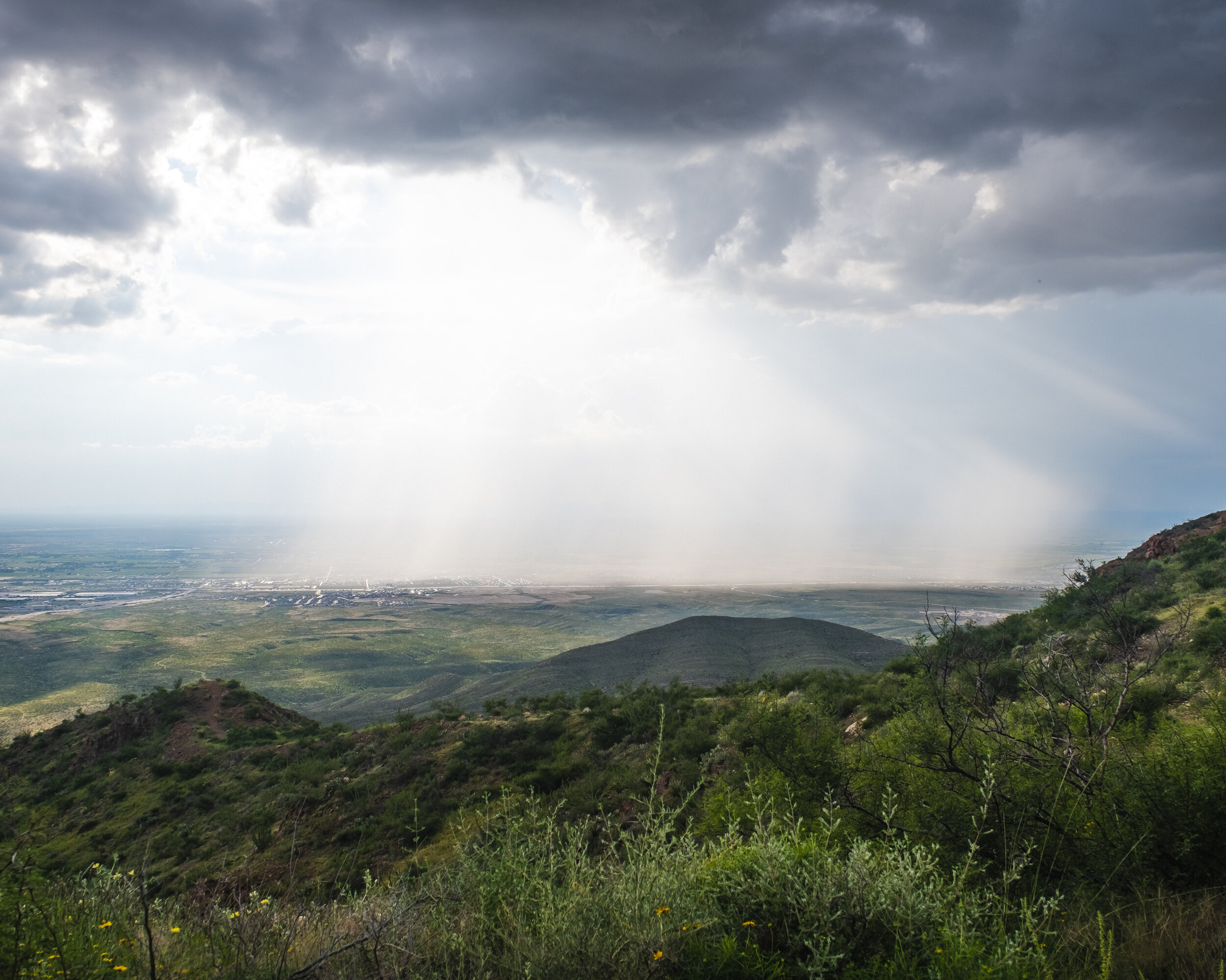 DSCF6570.jpg