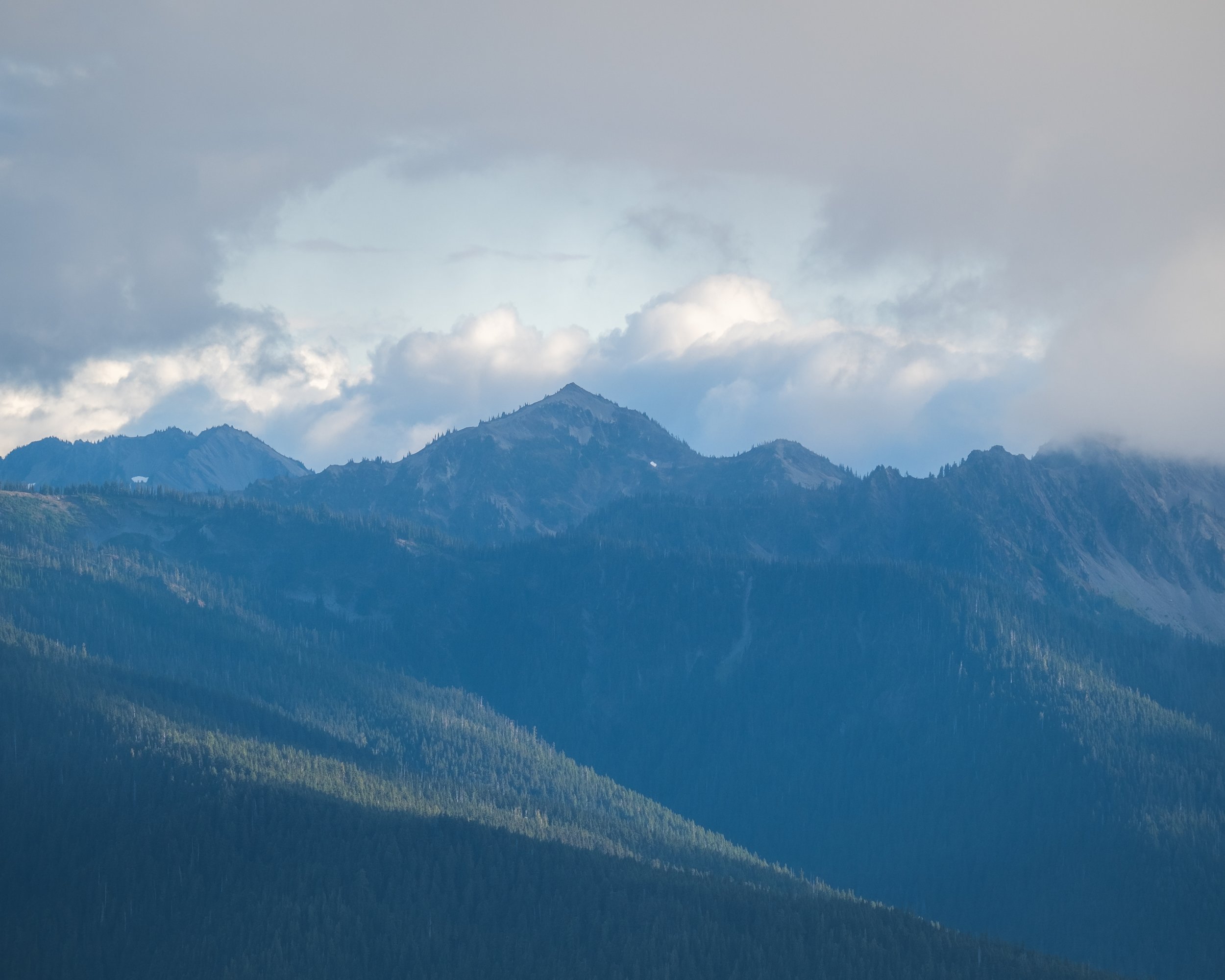 DSCF7319.jpg