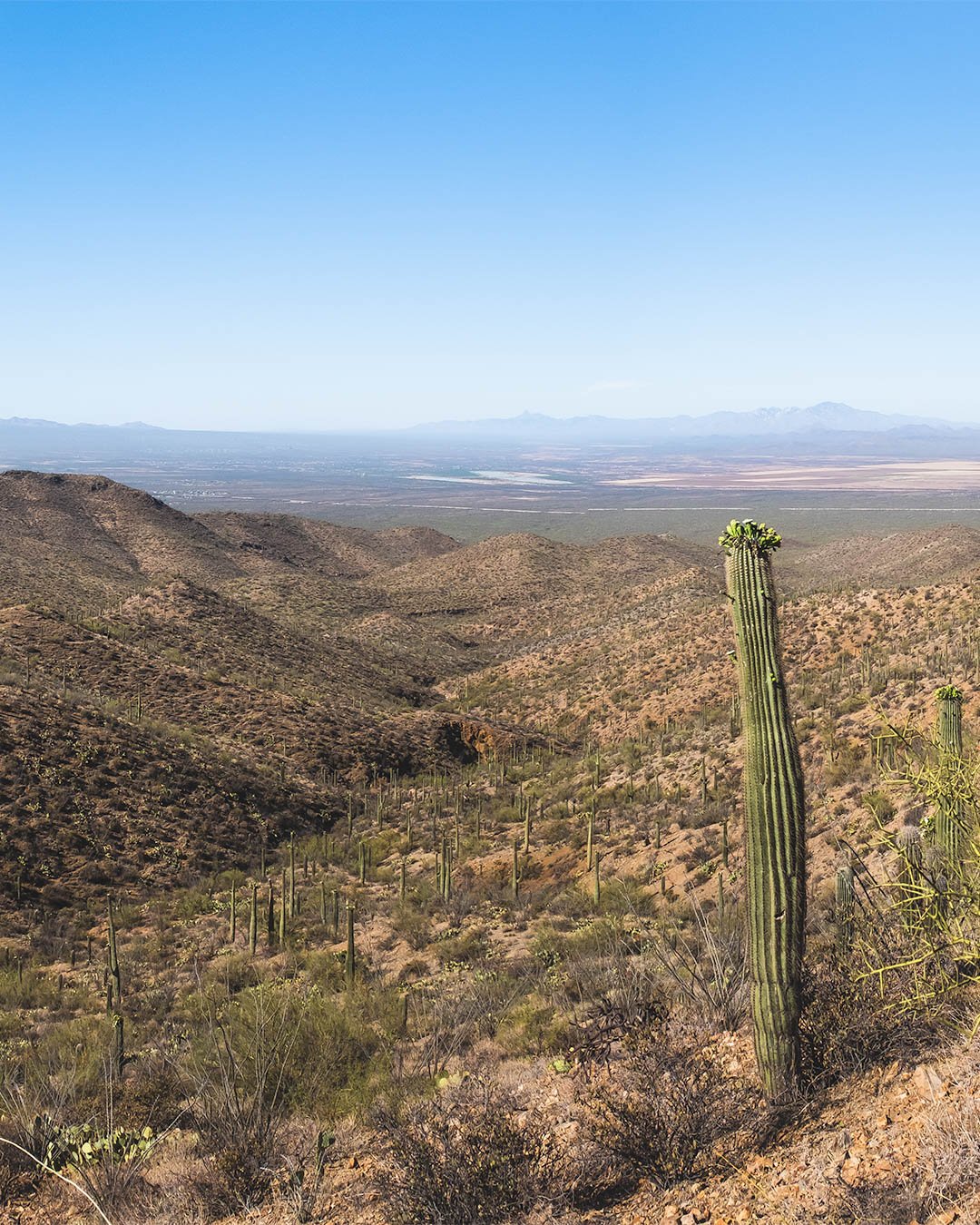 _DSF3345-Pano-Edit.jpg