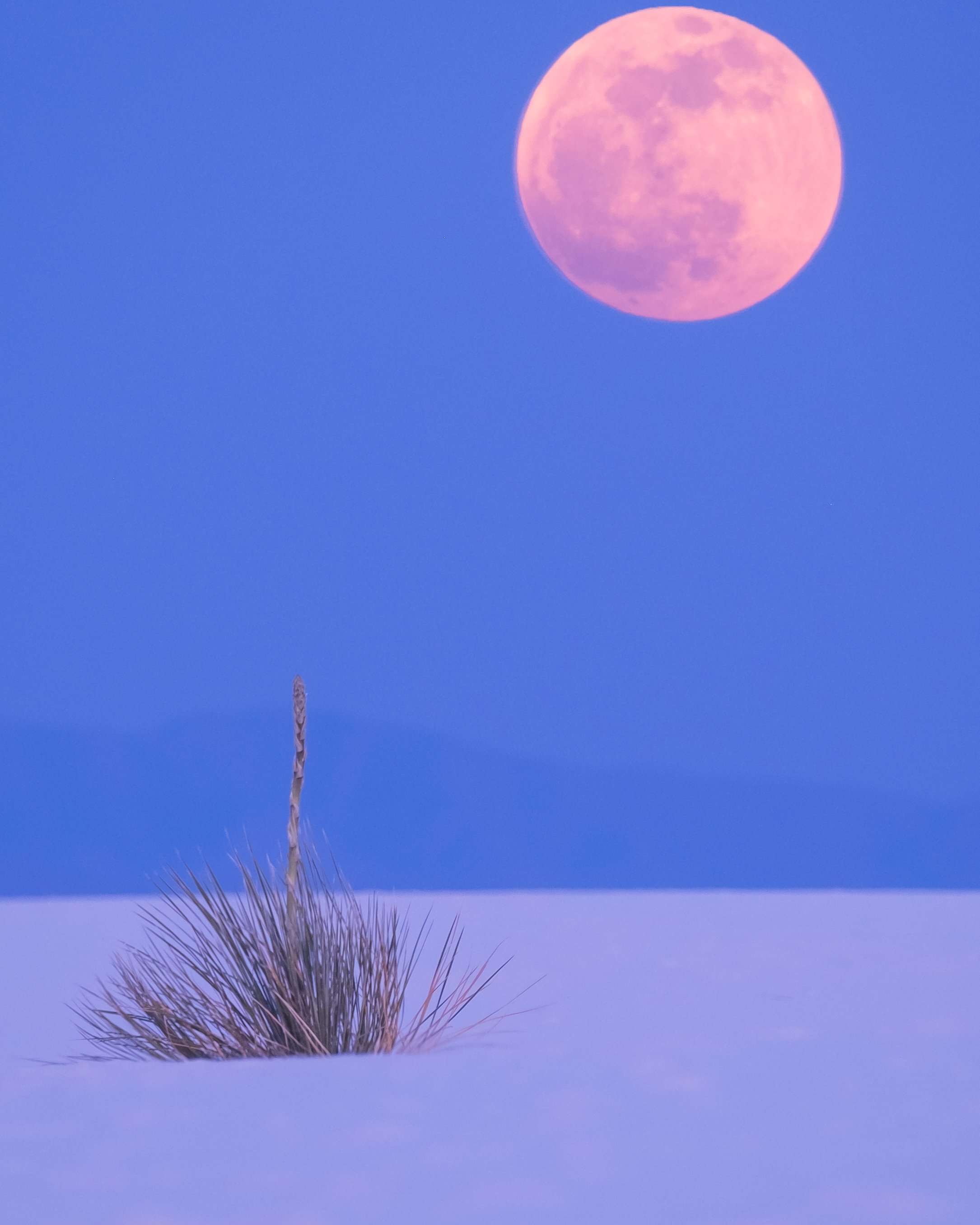 DSCF3024-Edit.jpg