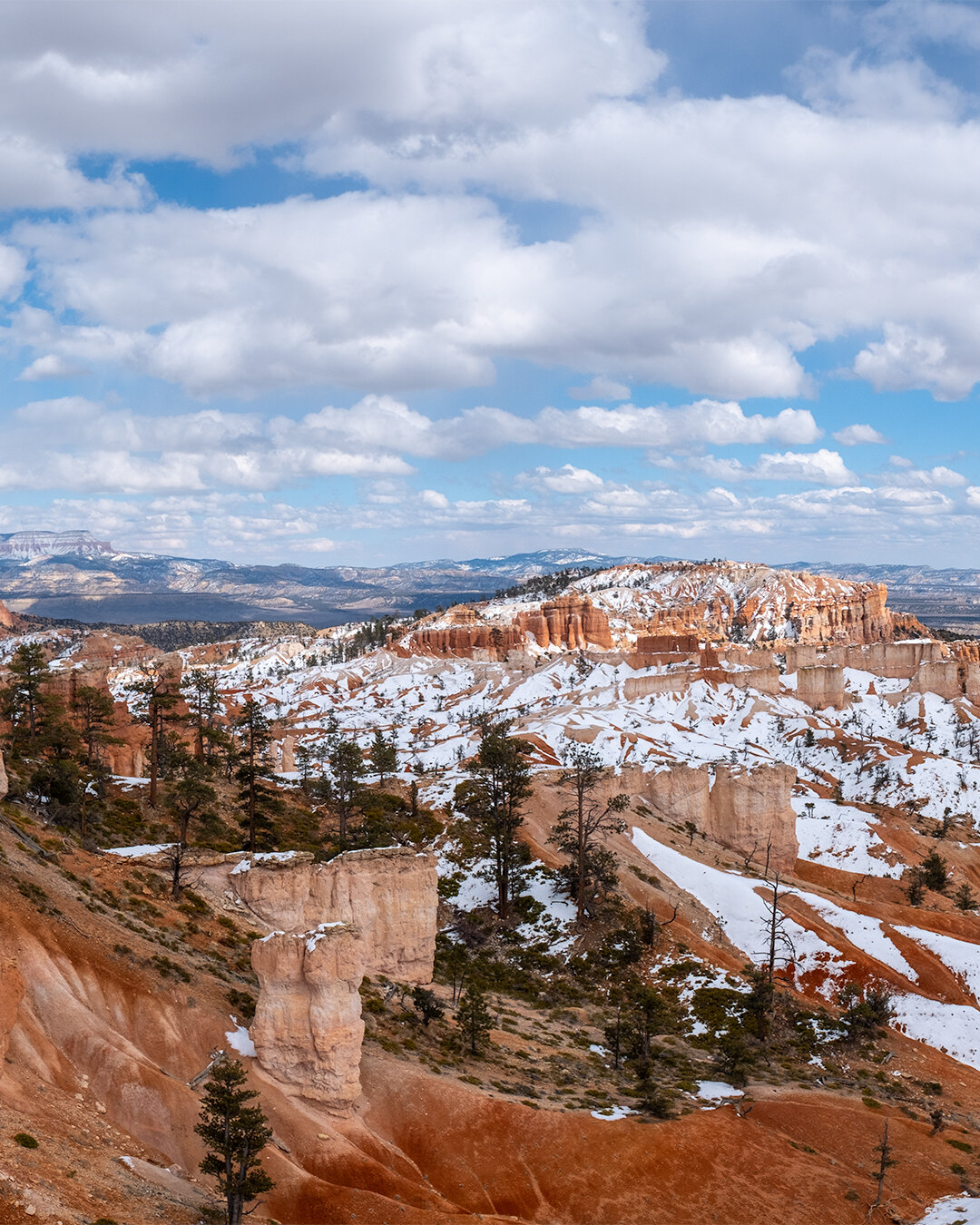 _DSF1631-Pano-Edit.jpg