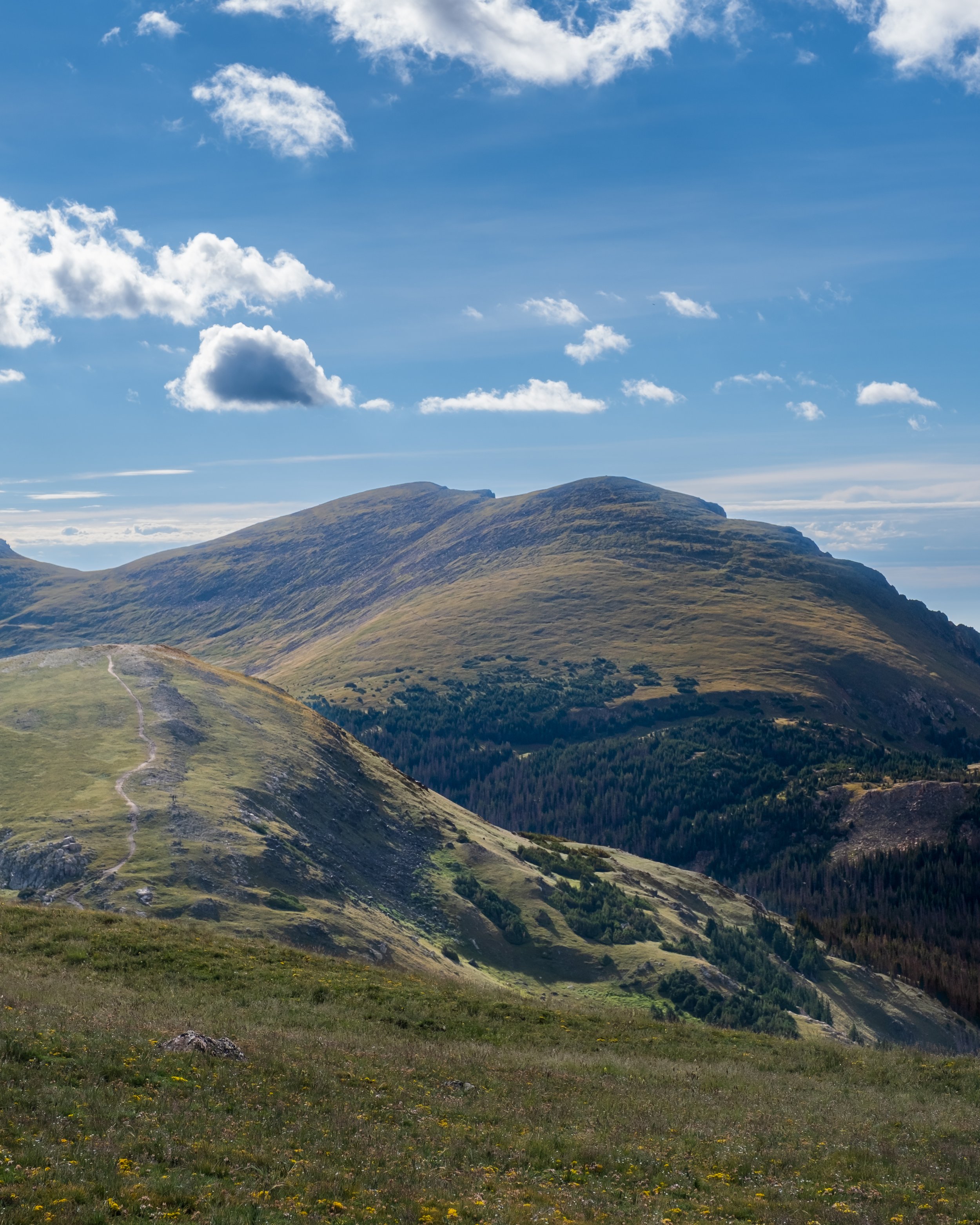 DSCF5584.jpg