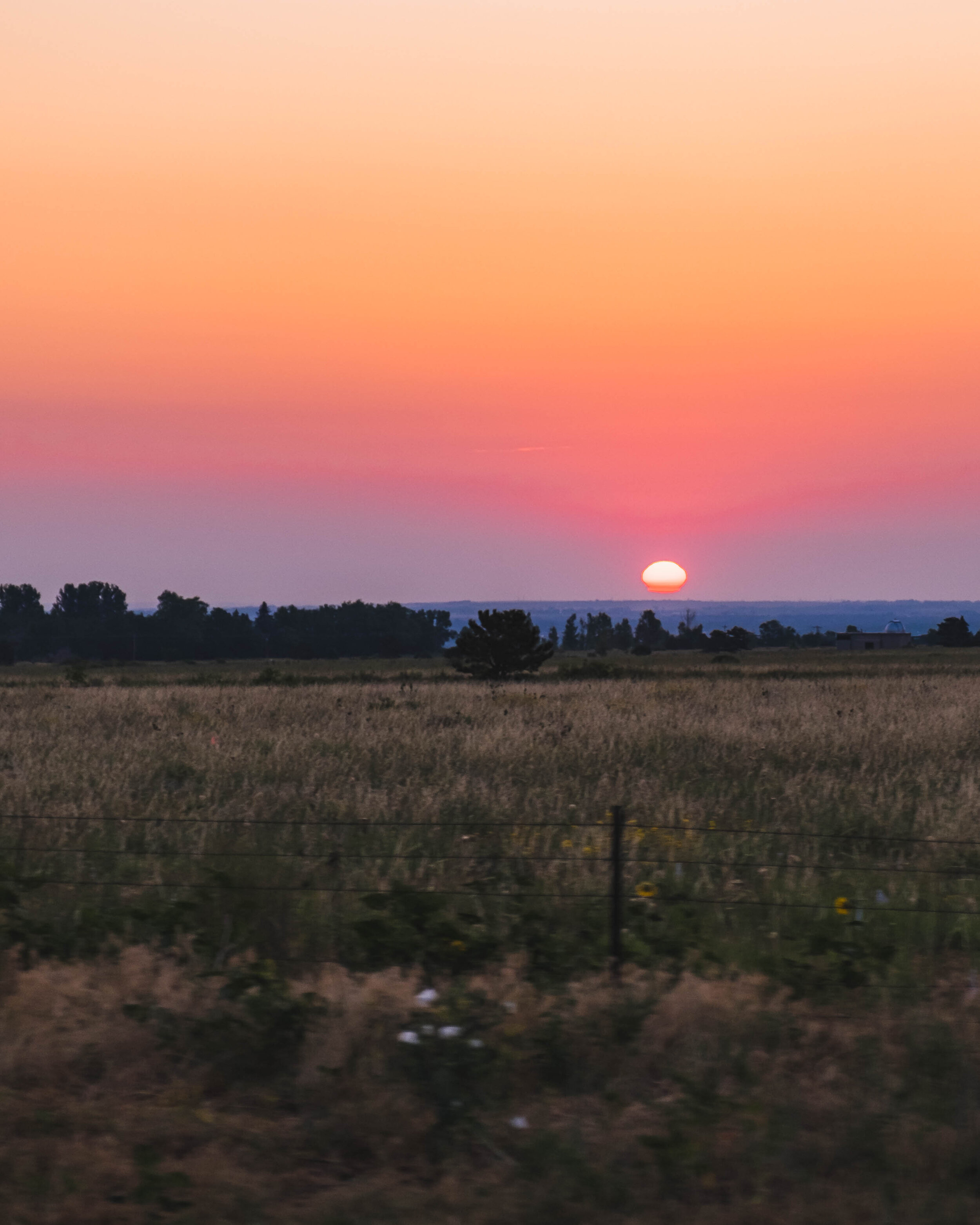 DSCF5551.jpg