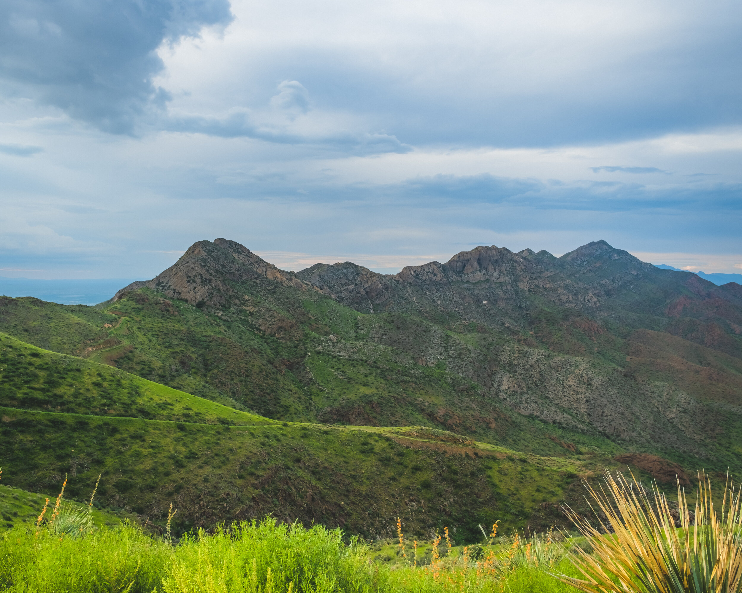 DSCF6669-HDR.jpg