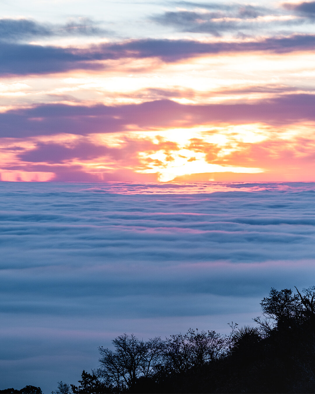 _DSF9050-Pano-Edit.jpg