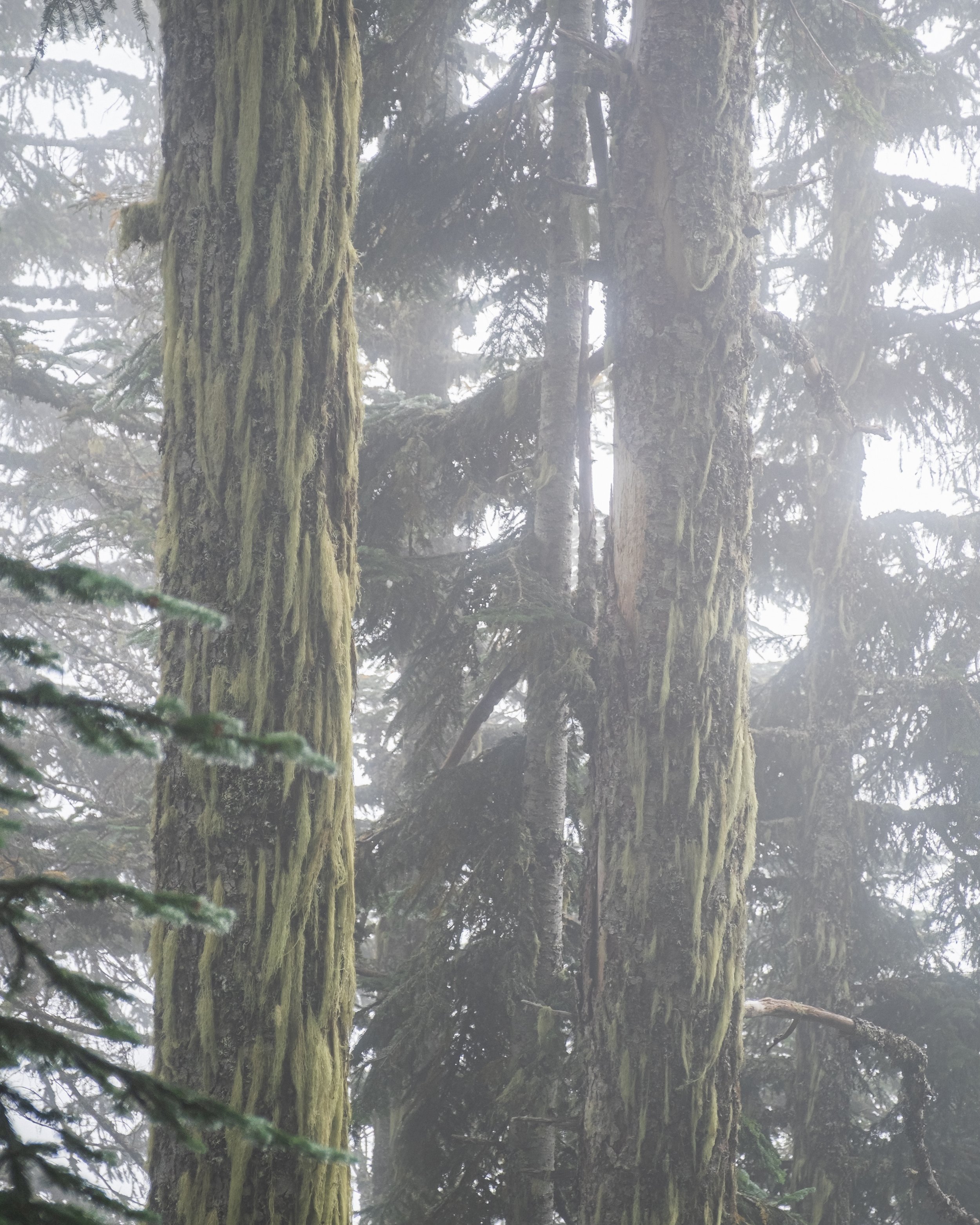 DSCF7812-HDR.jpg