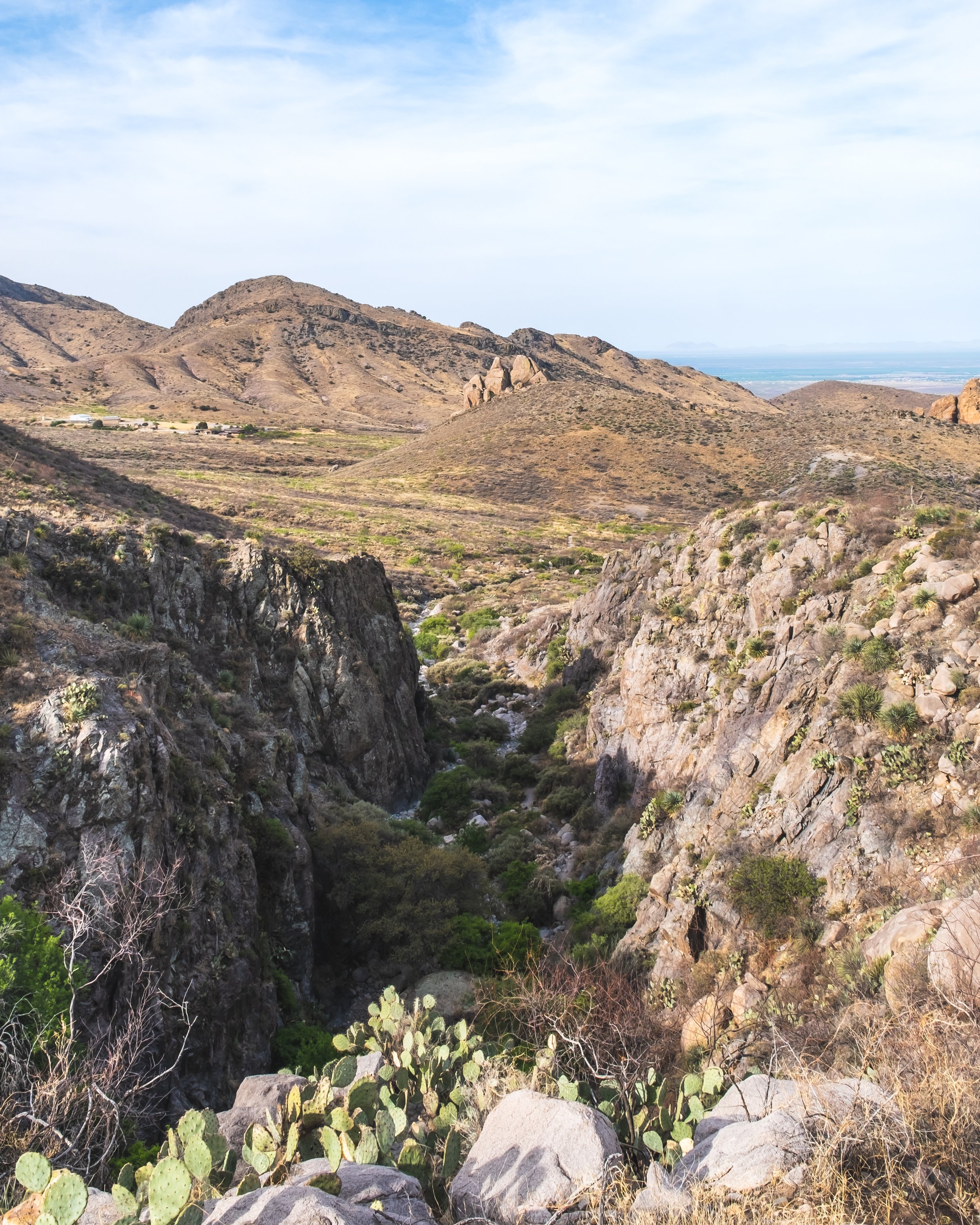 DSCF1597.jpg