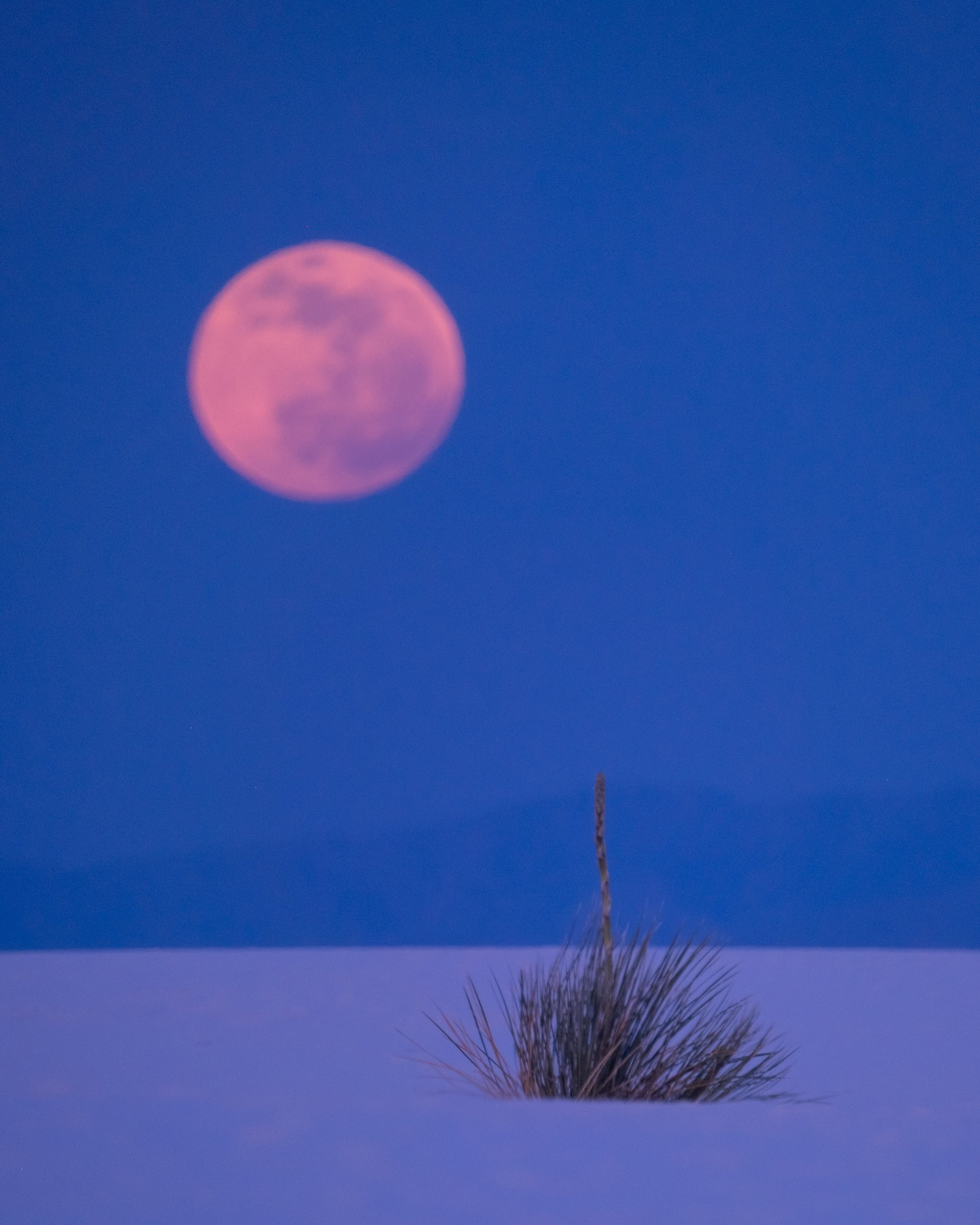 DSCF3017-Edit.jpg
