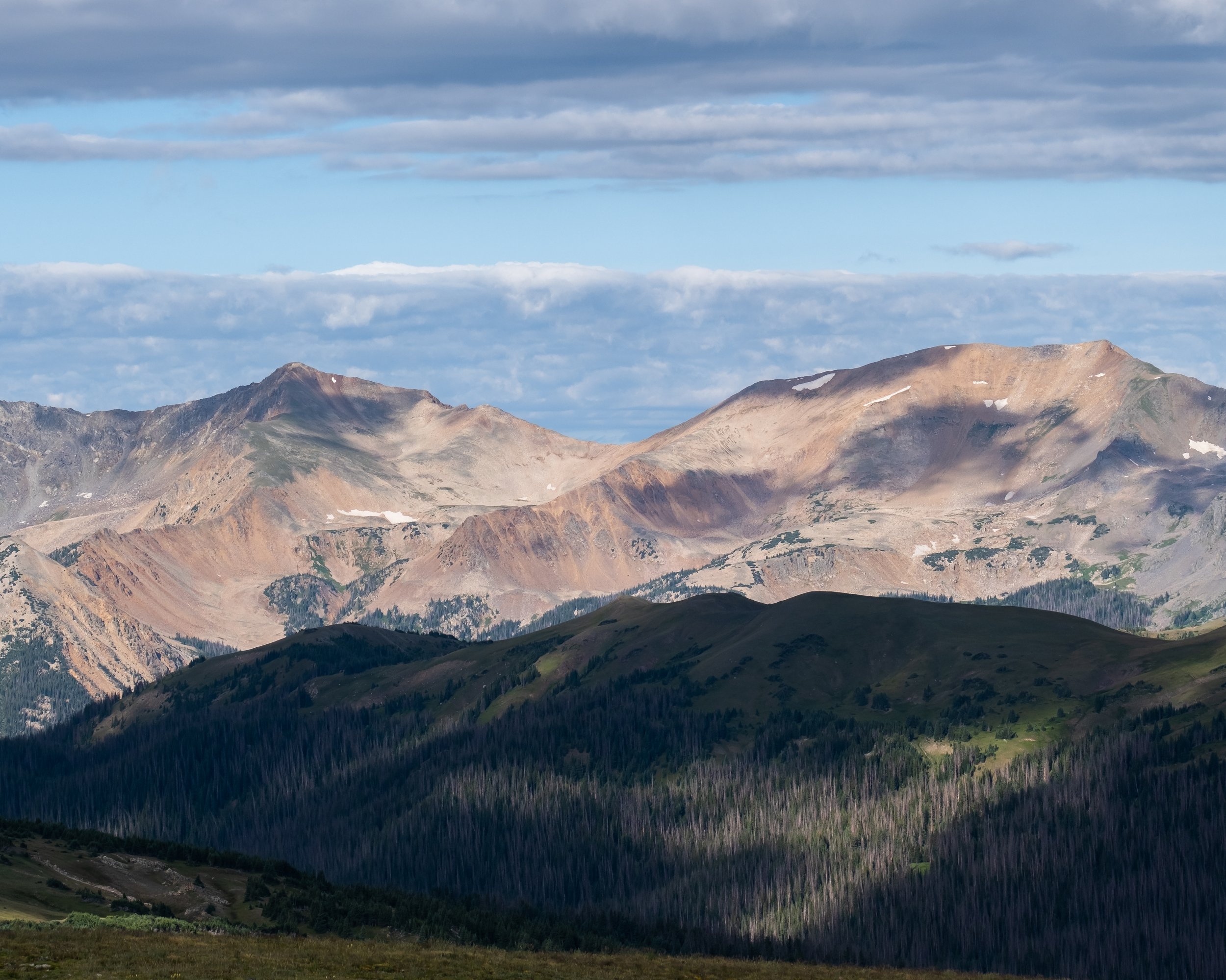 DSCF5596.jpg