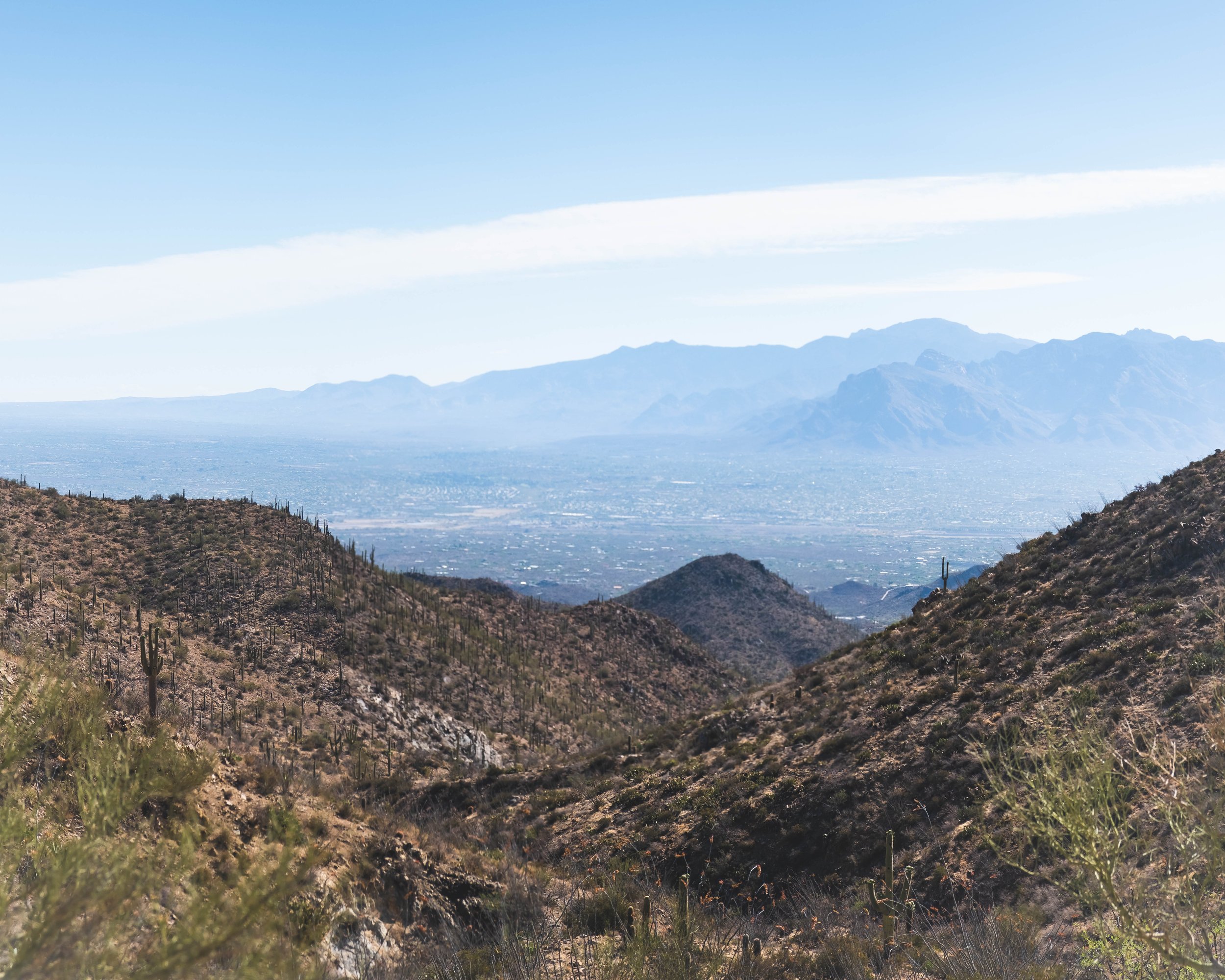 _DSF3277-Pano.jpg